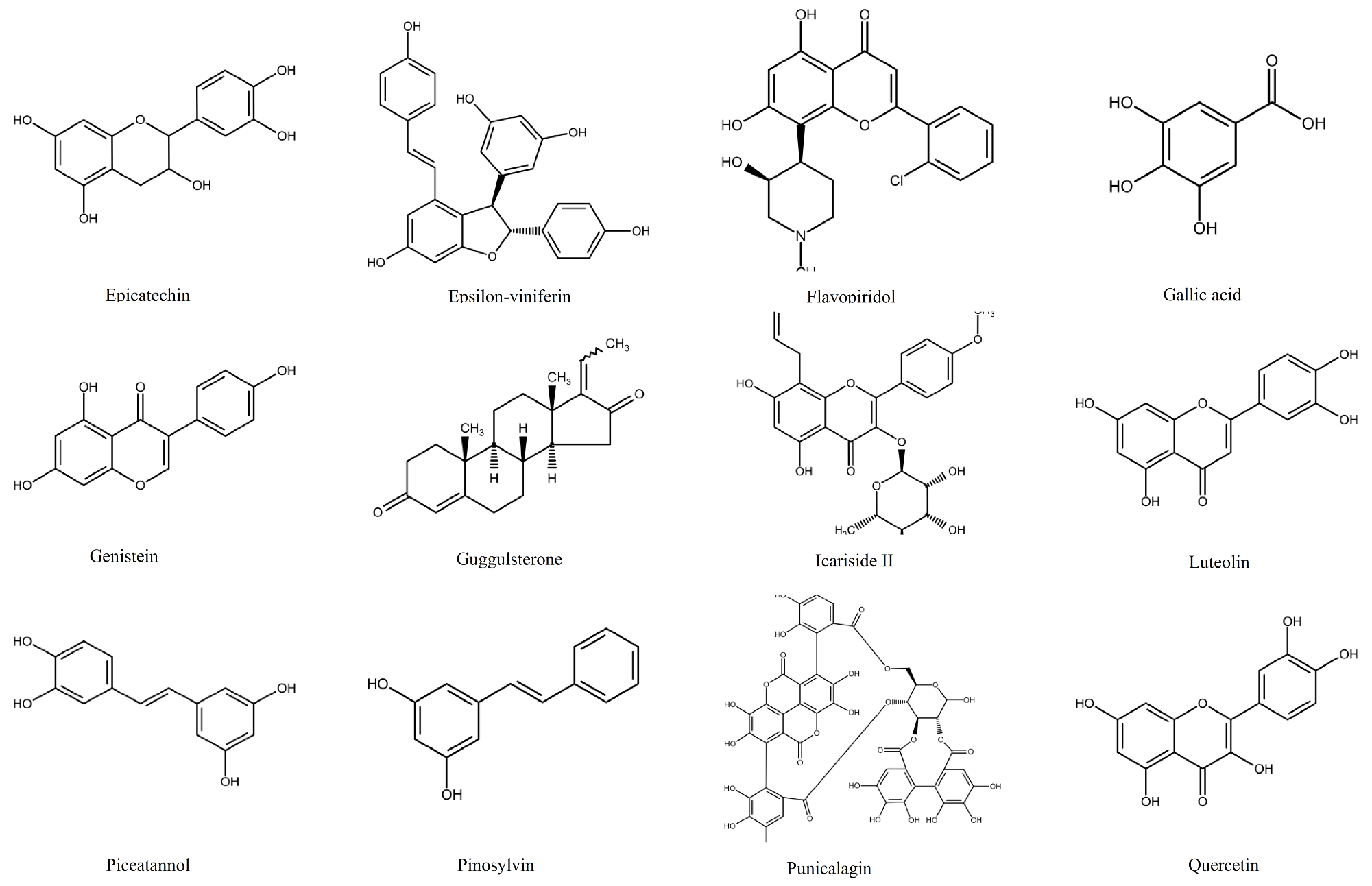 Ijms 22 03085 g001b Ijms 22 03085 g001b