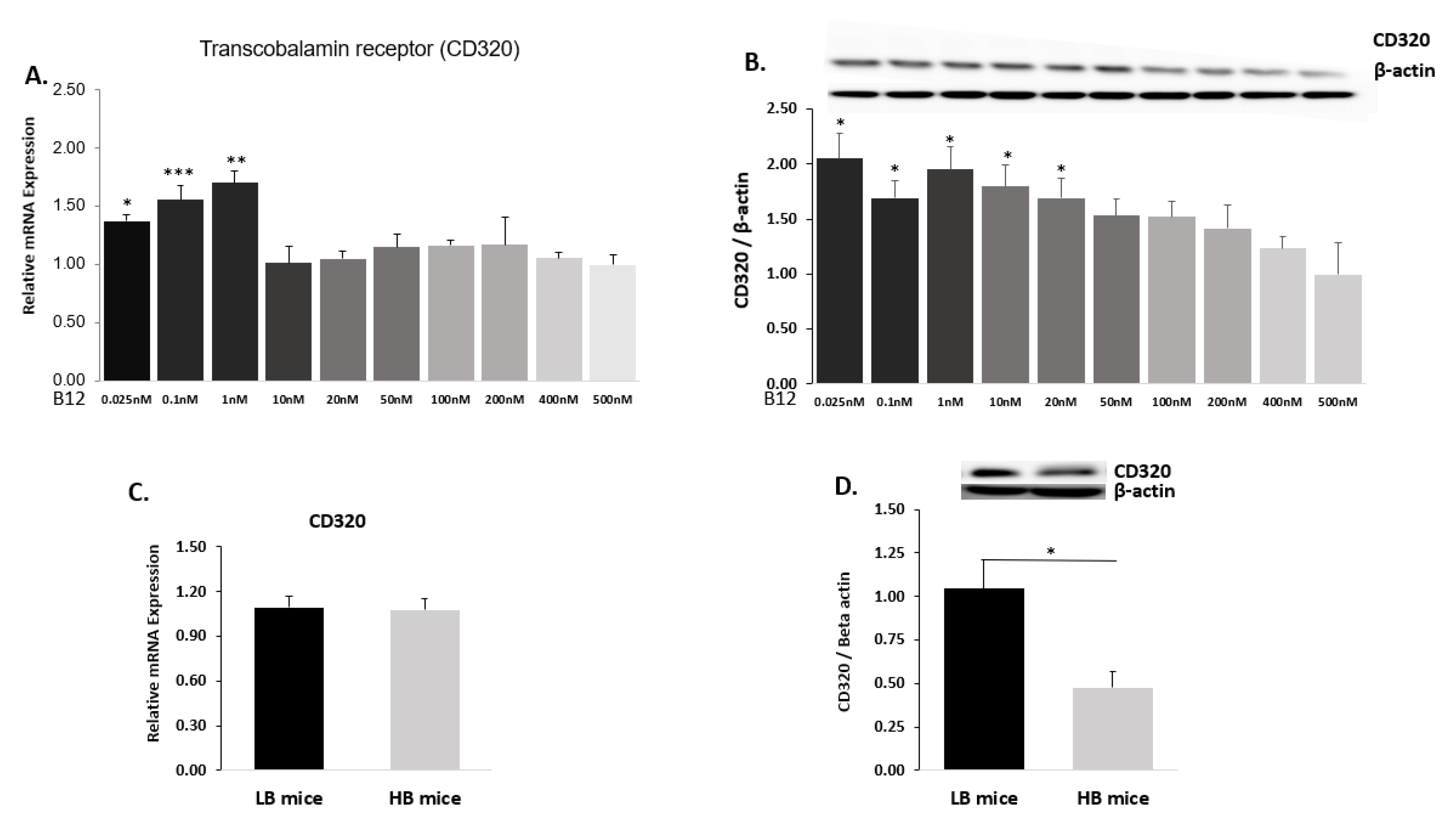Ijms 22 03089 g002 Ijms 22 03089 g002