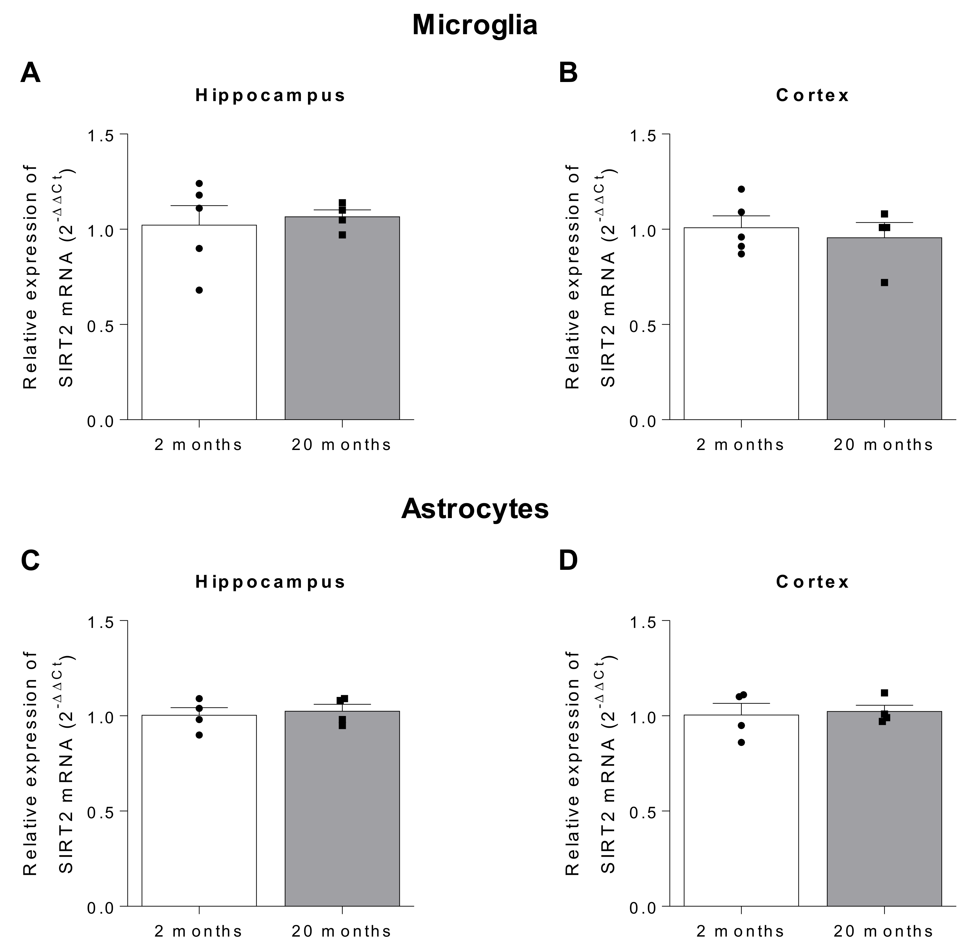 Ijms 22 03107 g002 Ijms 22 03107 g002