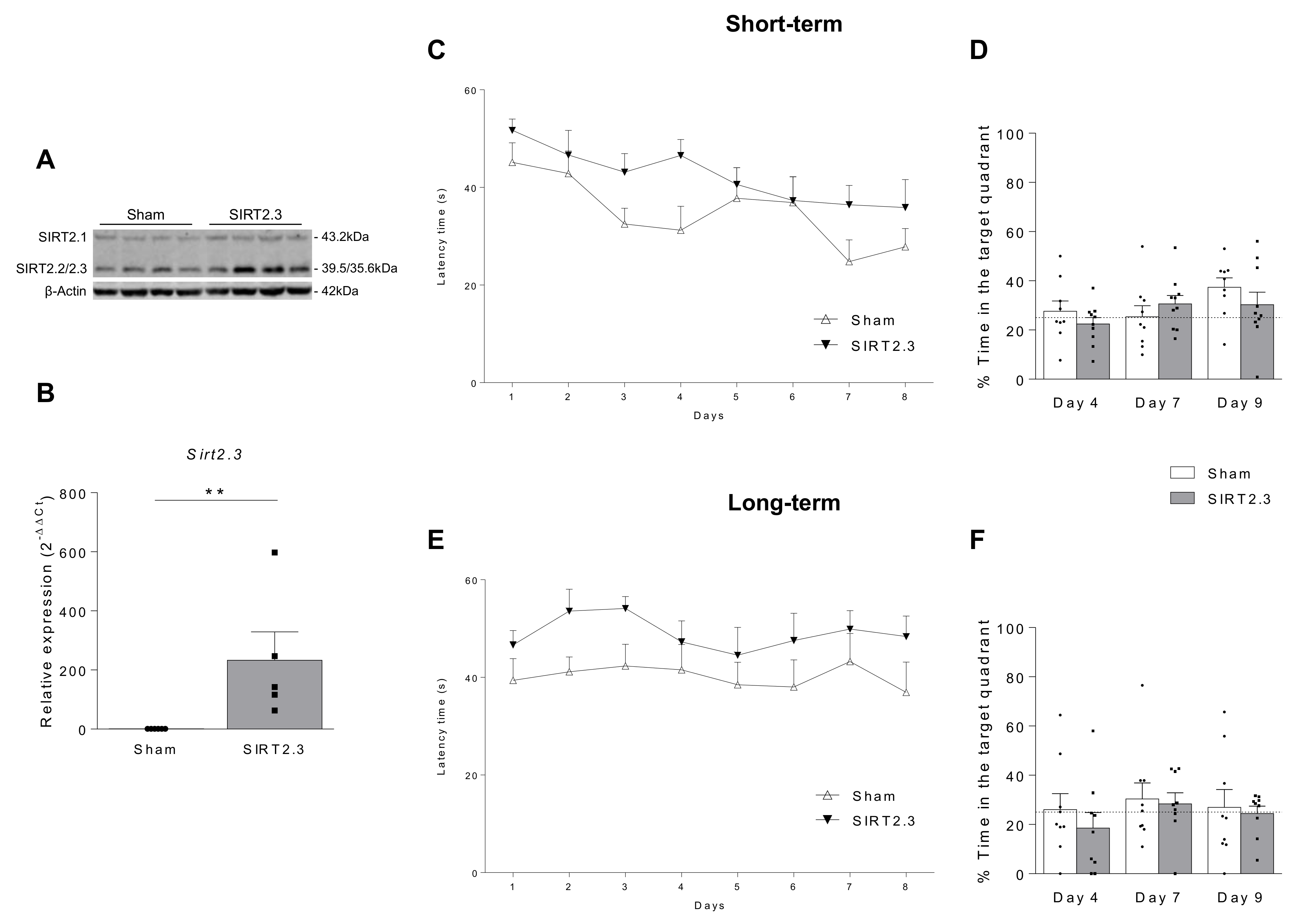 Ijms 22 03107 g006 Ijms 22 03107 g006