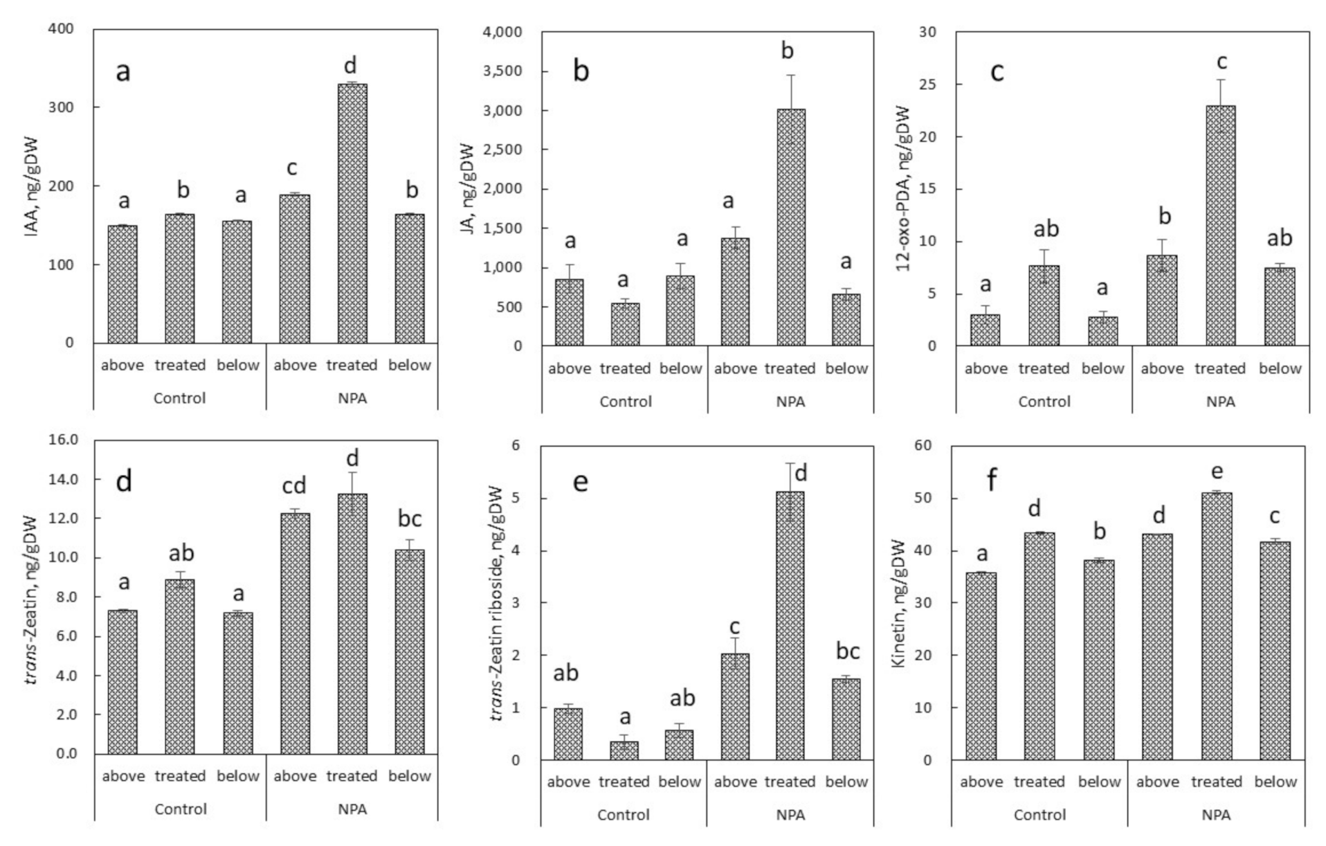 Ijms 22 03118 g003 Ijms 22 03118 g003