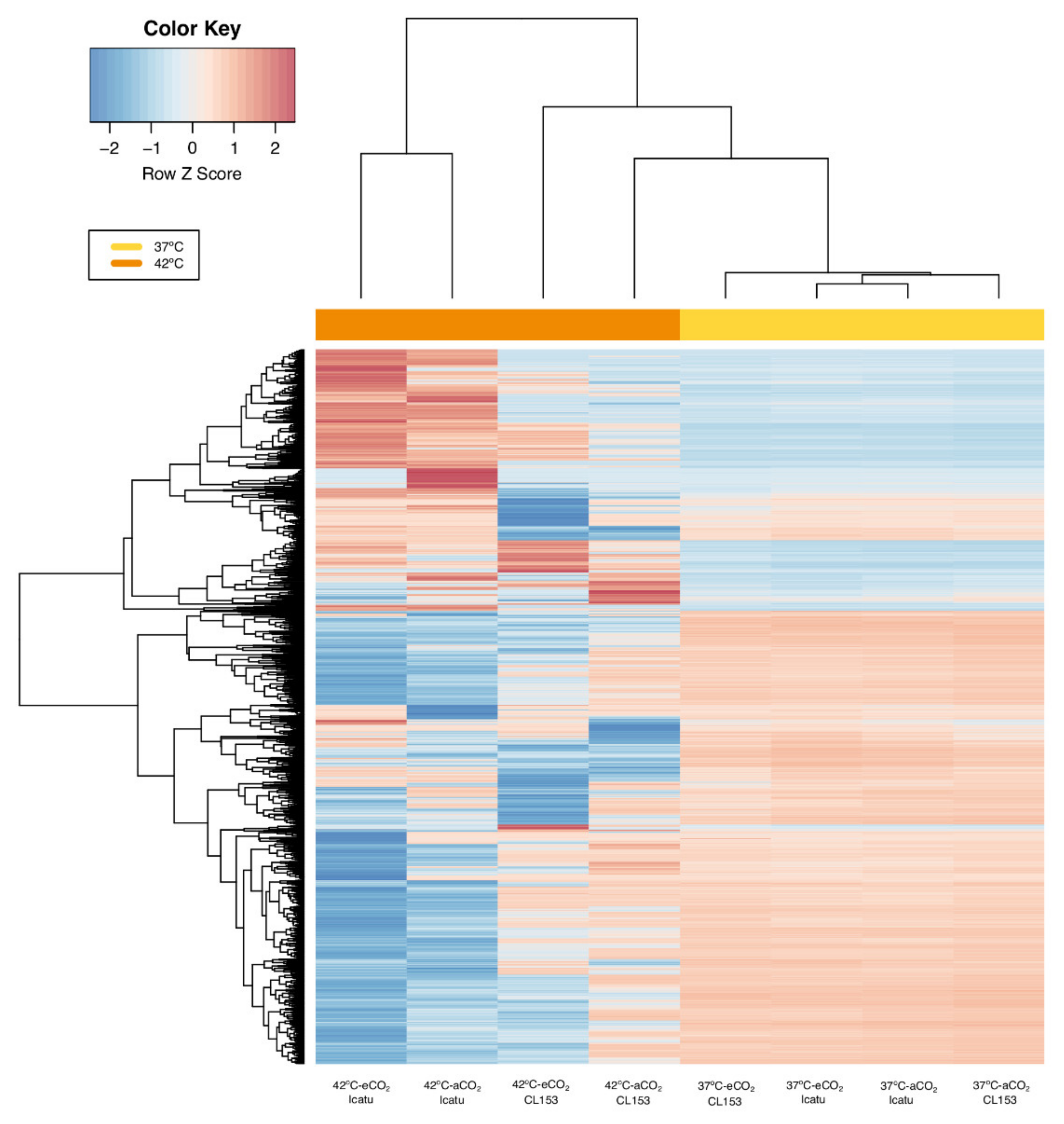 Ijms Free Full Text A Transcriptomic Approach To Understanding The Combined Impacts Of Supra Optimal Temperatures And Co2 Revealed Different Responses In The Polyploid Coffea Arabica And Its Diploid Progenitor C Canephora