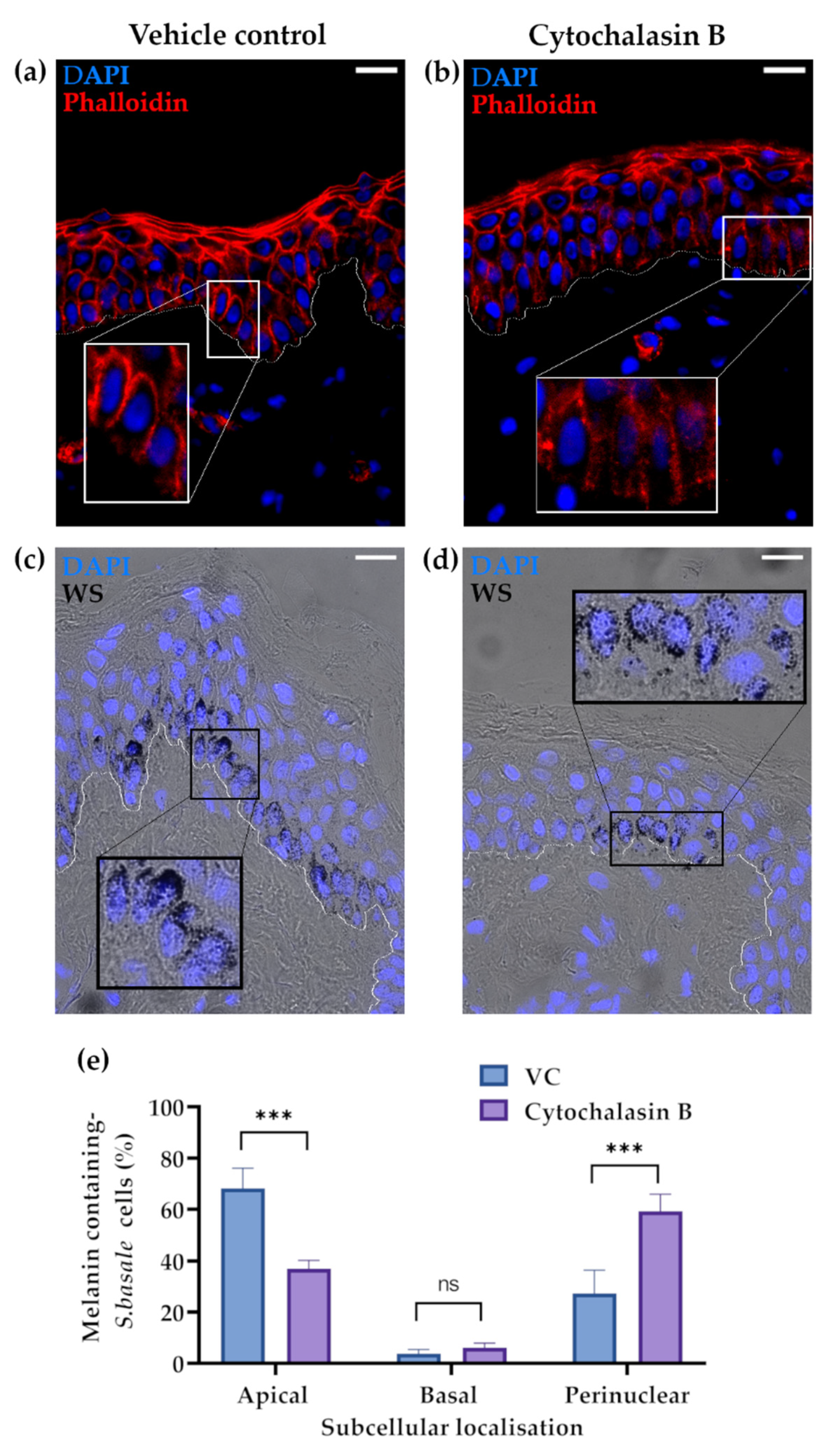 Ijms 22 03143 g002 Ijms 22 03143 g002