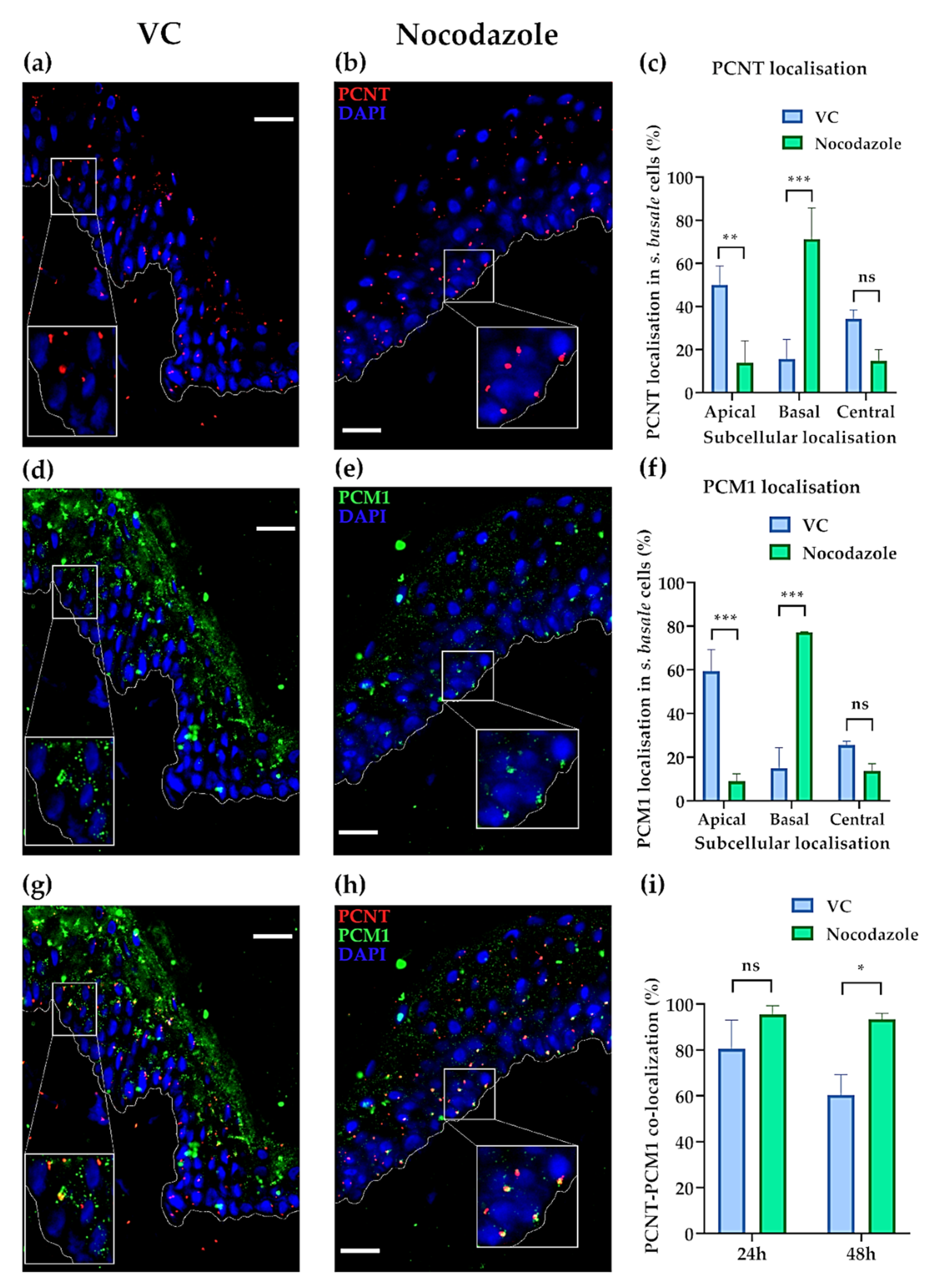 Ijms 22 03143 g003 Ijms 22 03143 g003