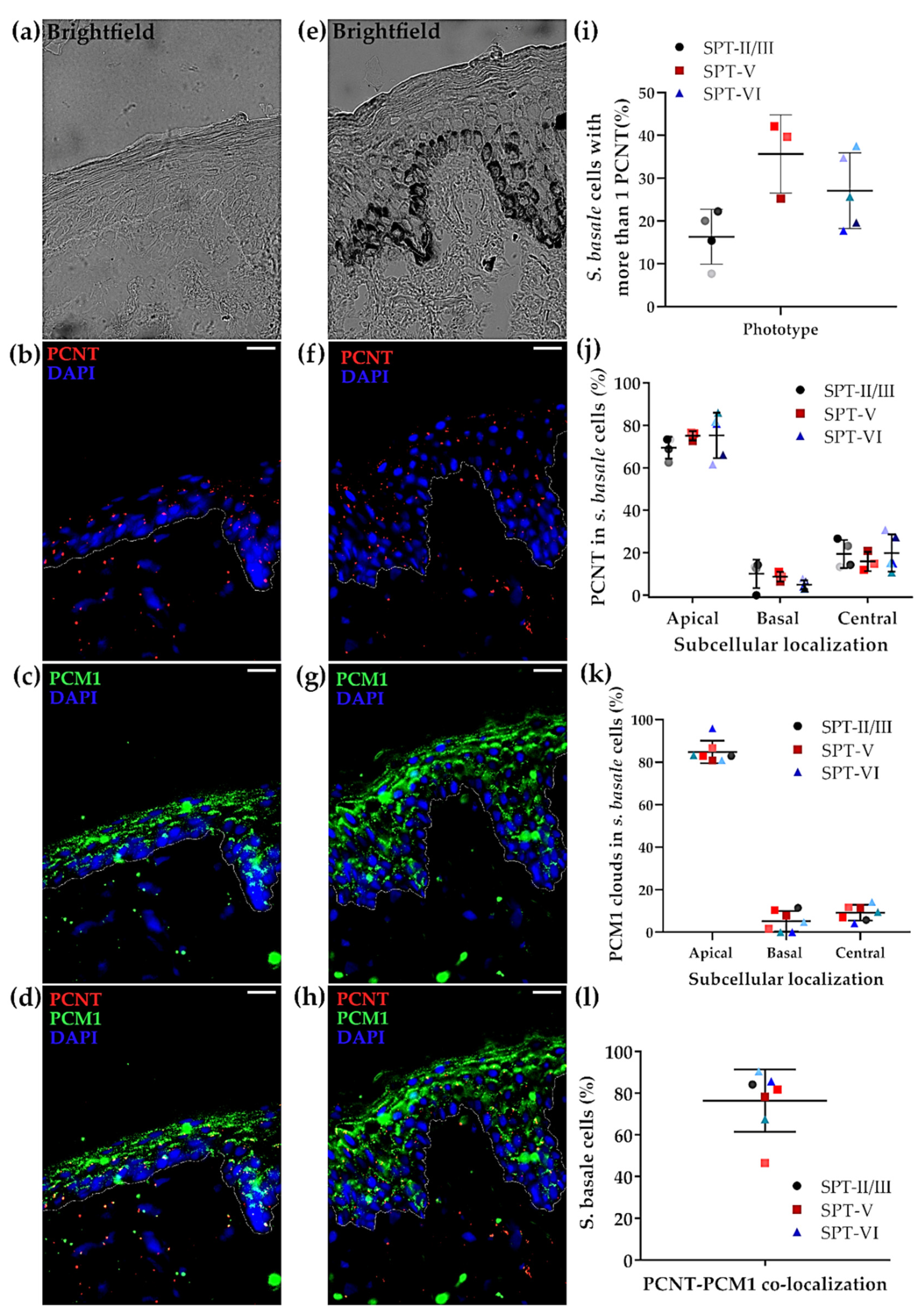 Ijms 22 03143 g004 Ijms 22 03143 g004