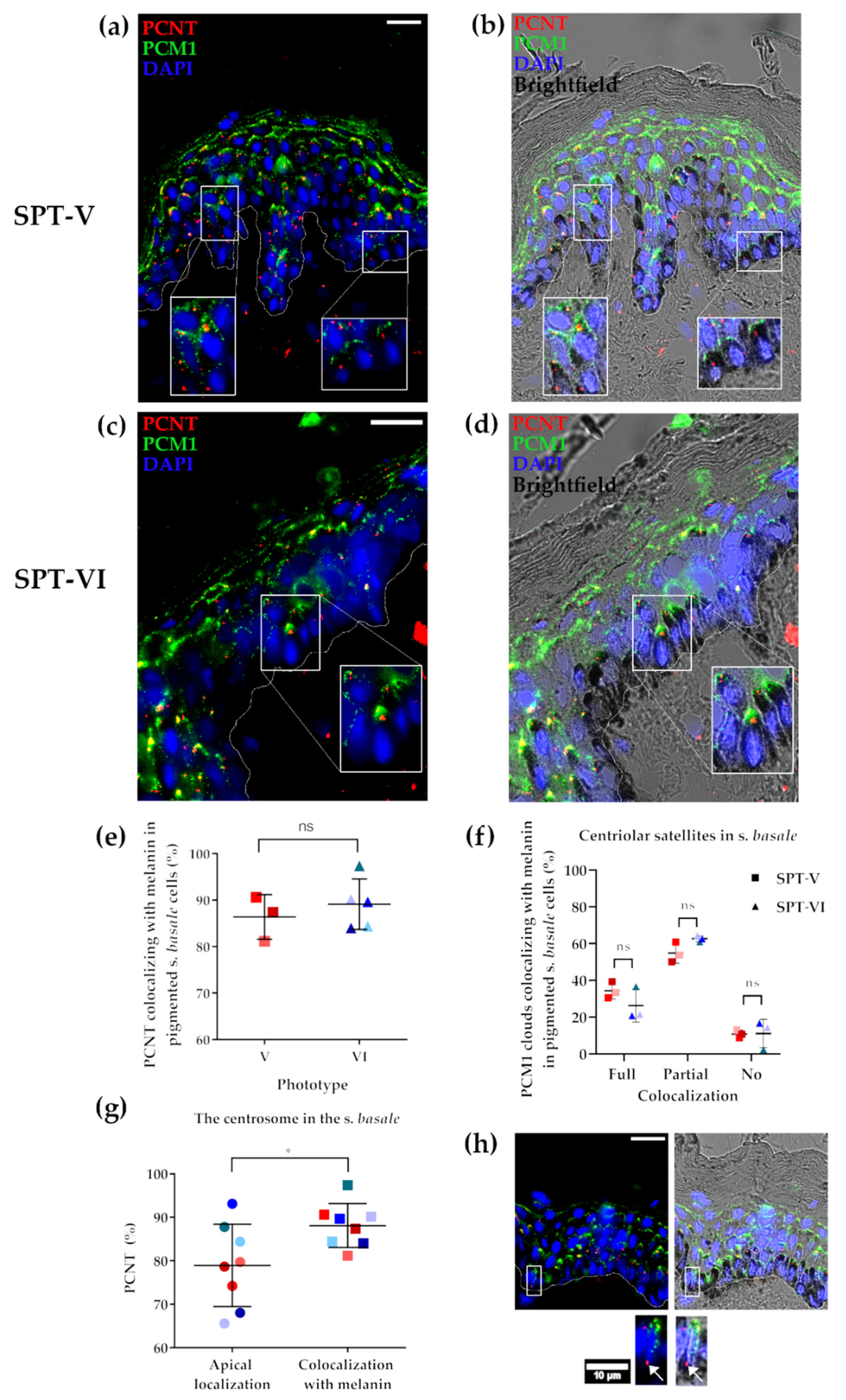 Ijms 22 03143 g005 Ijms 22 03143 g005