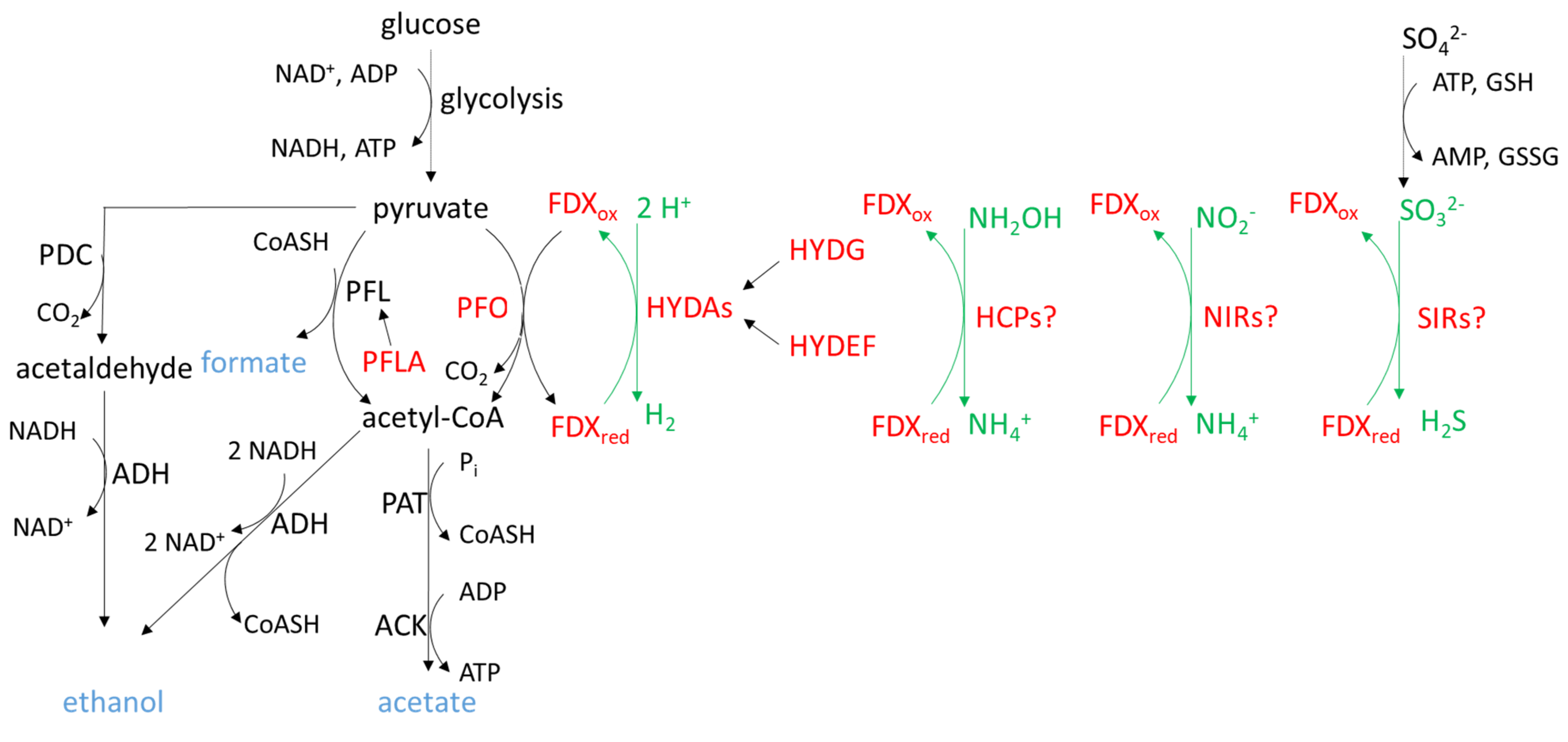 Ijms 22 03175 g002 Ijms 22 03175 g002