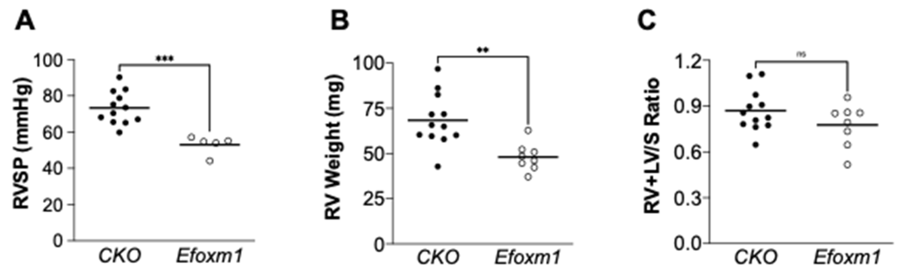 Ijms 22 03182 g003 Ijms 22 03182 g003