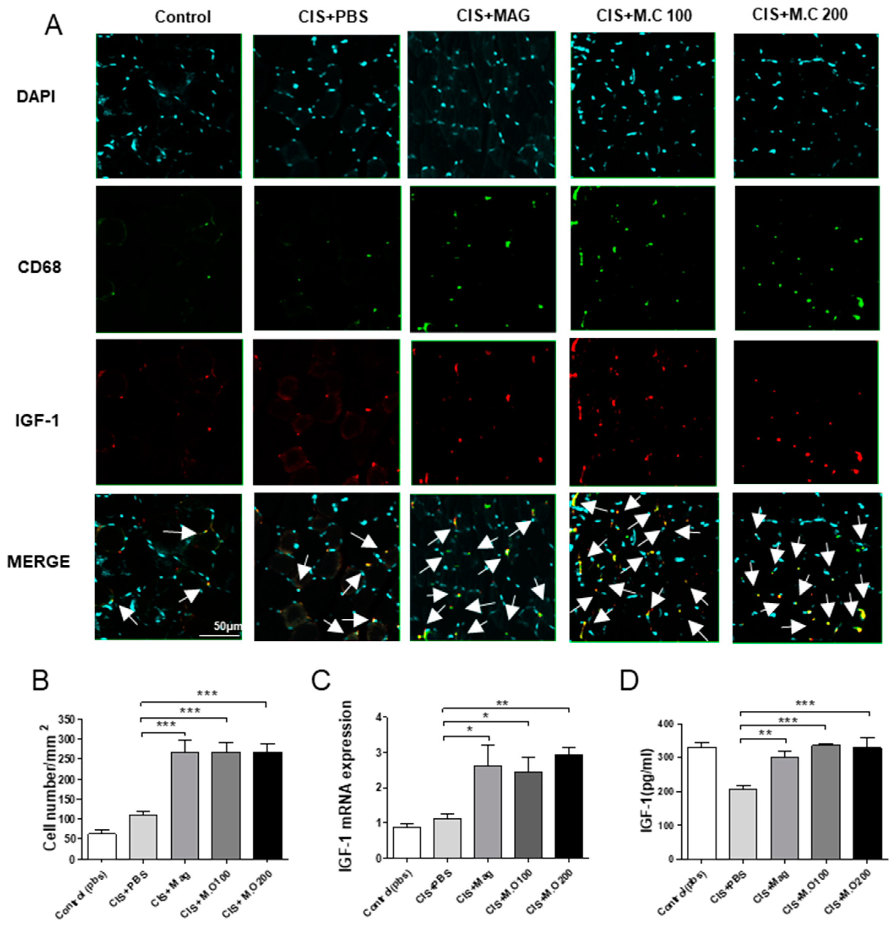 Ijms 22 03188 g005 Ijms 22 03188 g005