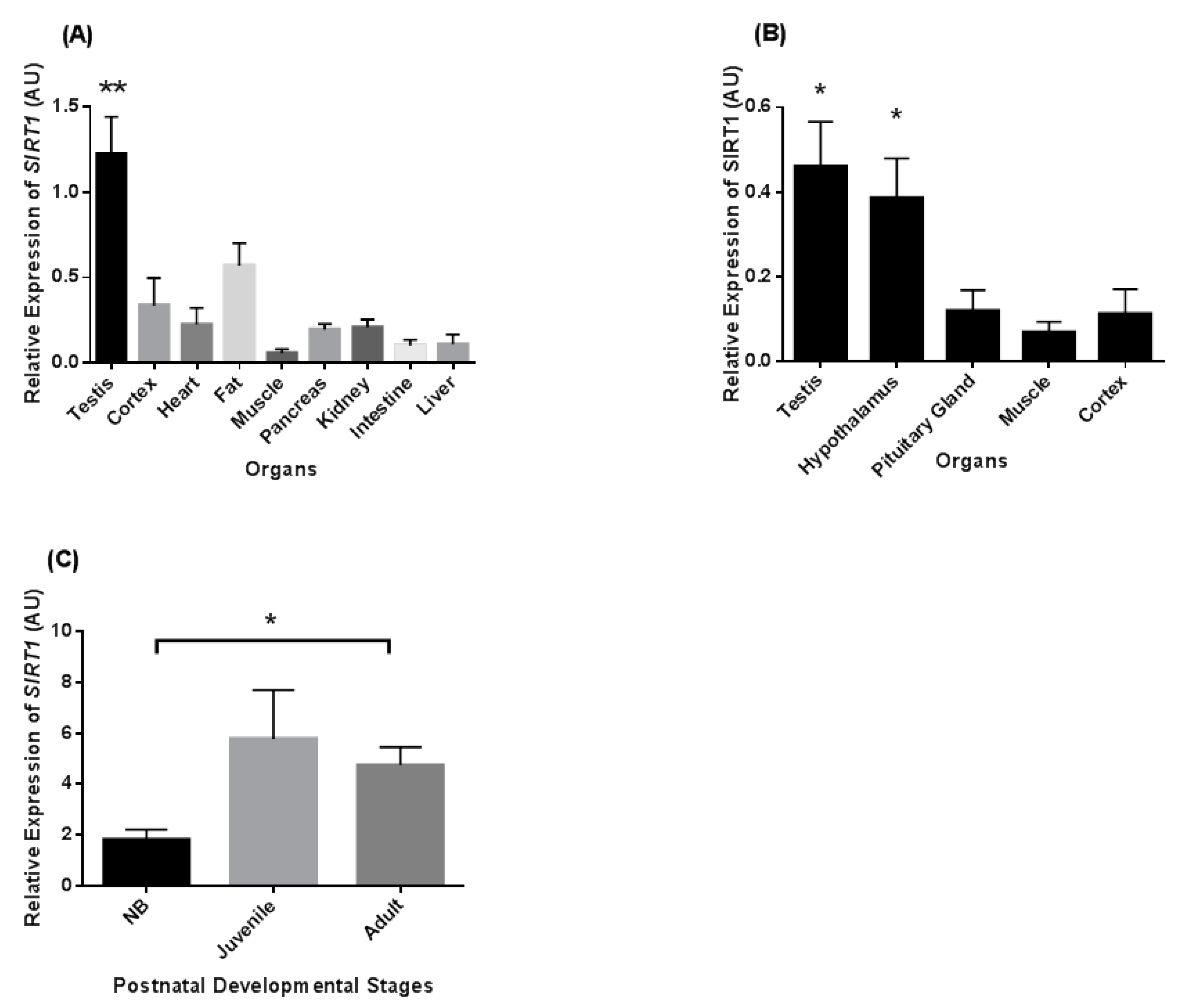 Ijms 22 03207 g001 Ijms 22 03207 g001