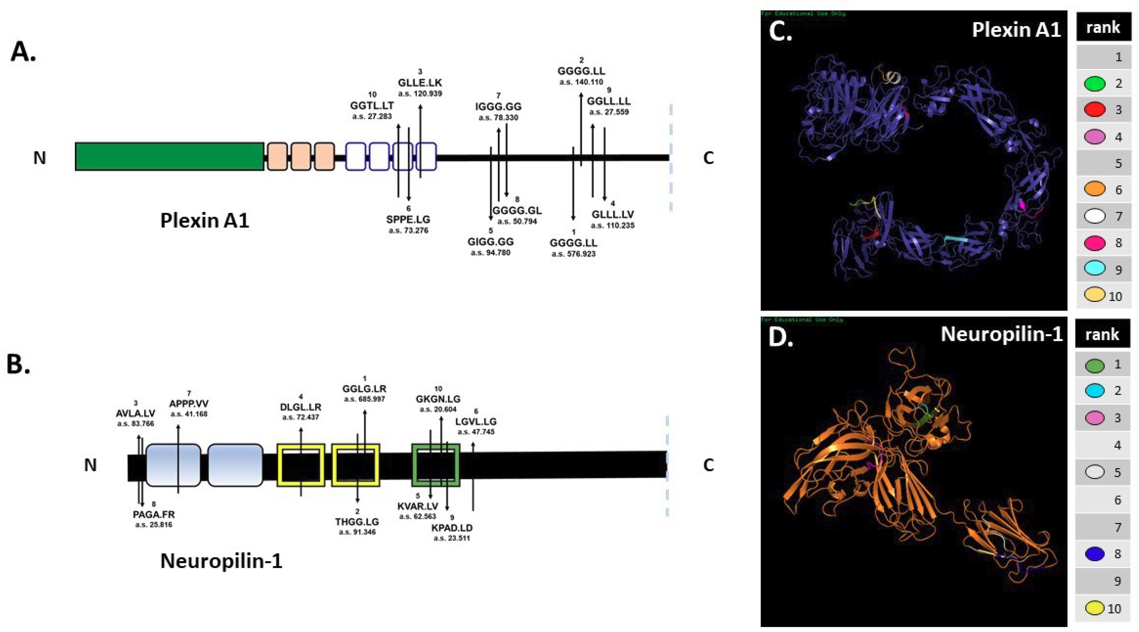 Ijms 22 03218 g002 Ijms 22 03218 g002