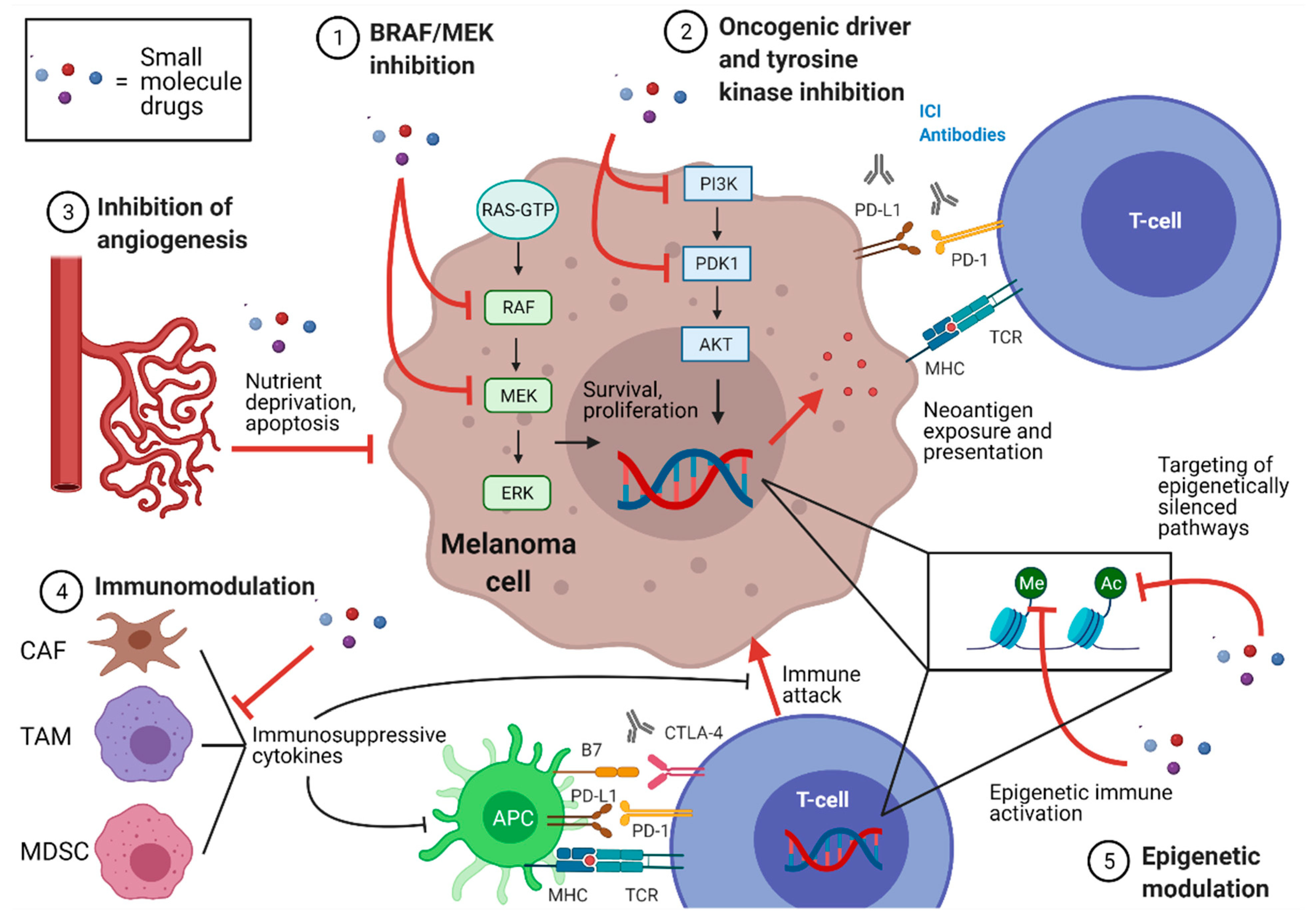 Ijms 22 03228 g002 Ijms 22 03228 g002
