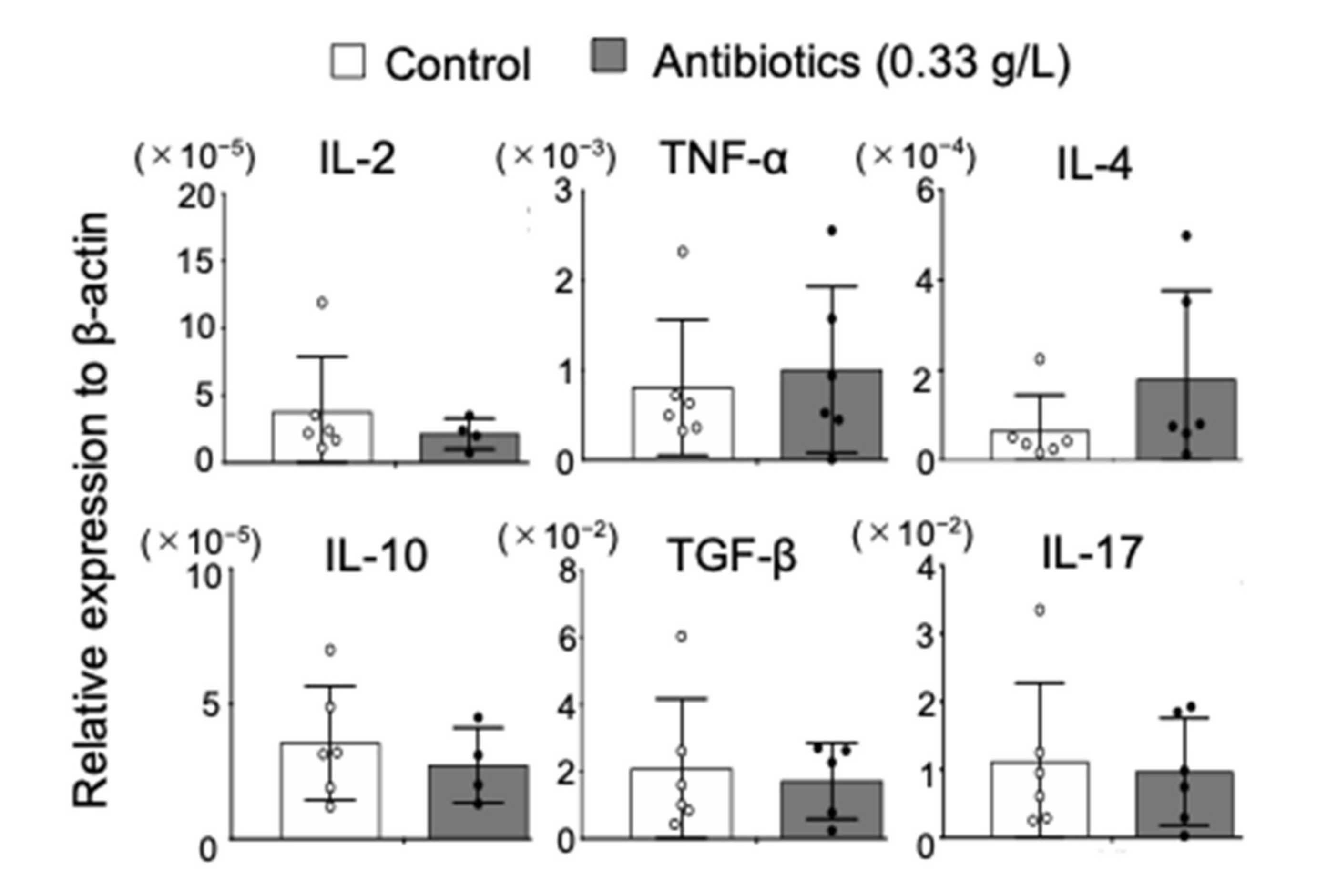 Ijms 22 03239 g003 Ijms 22 03239 g003