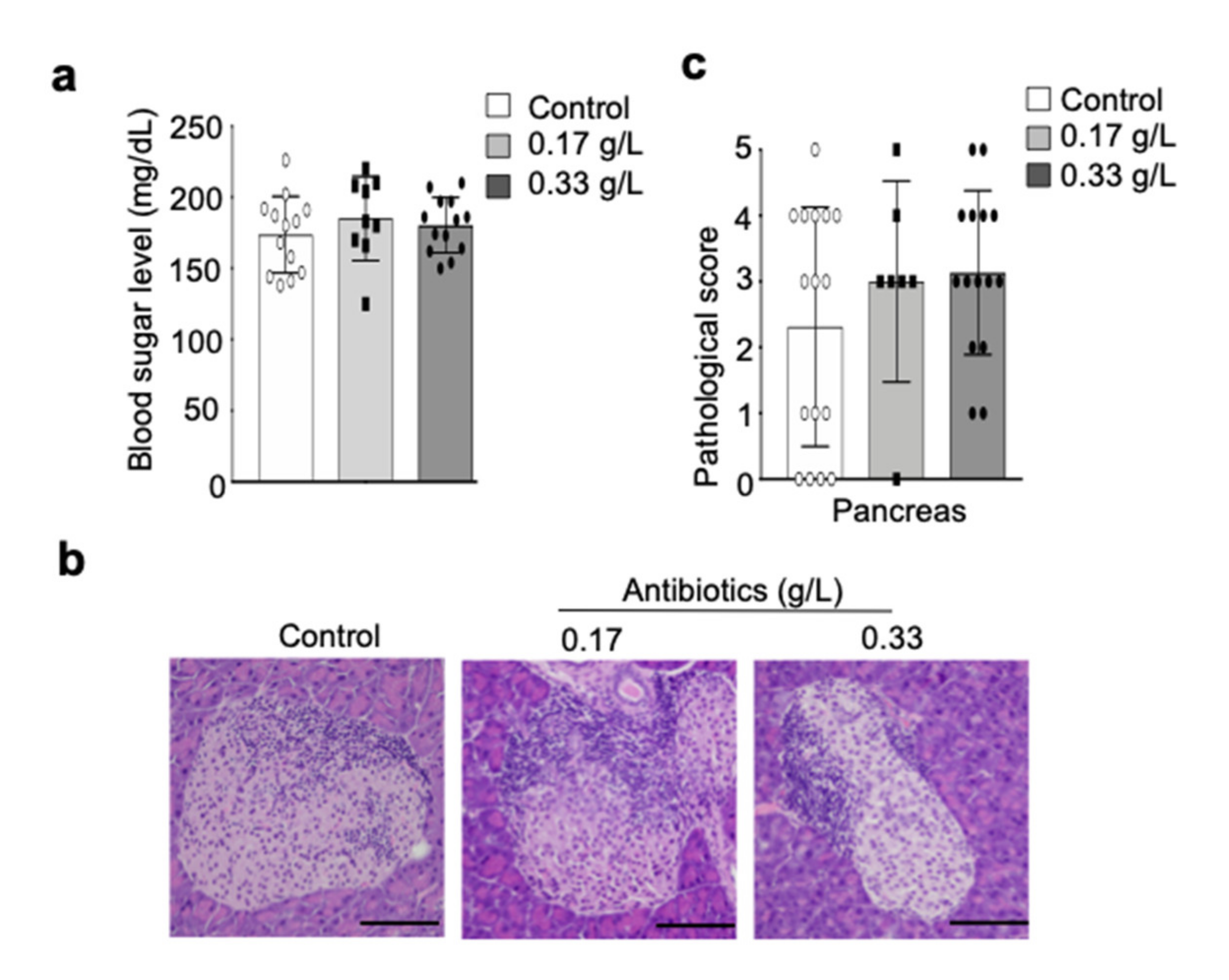 Ijms 22 03239 g005 Ijms 22 03239 g005