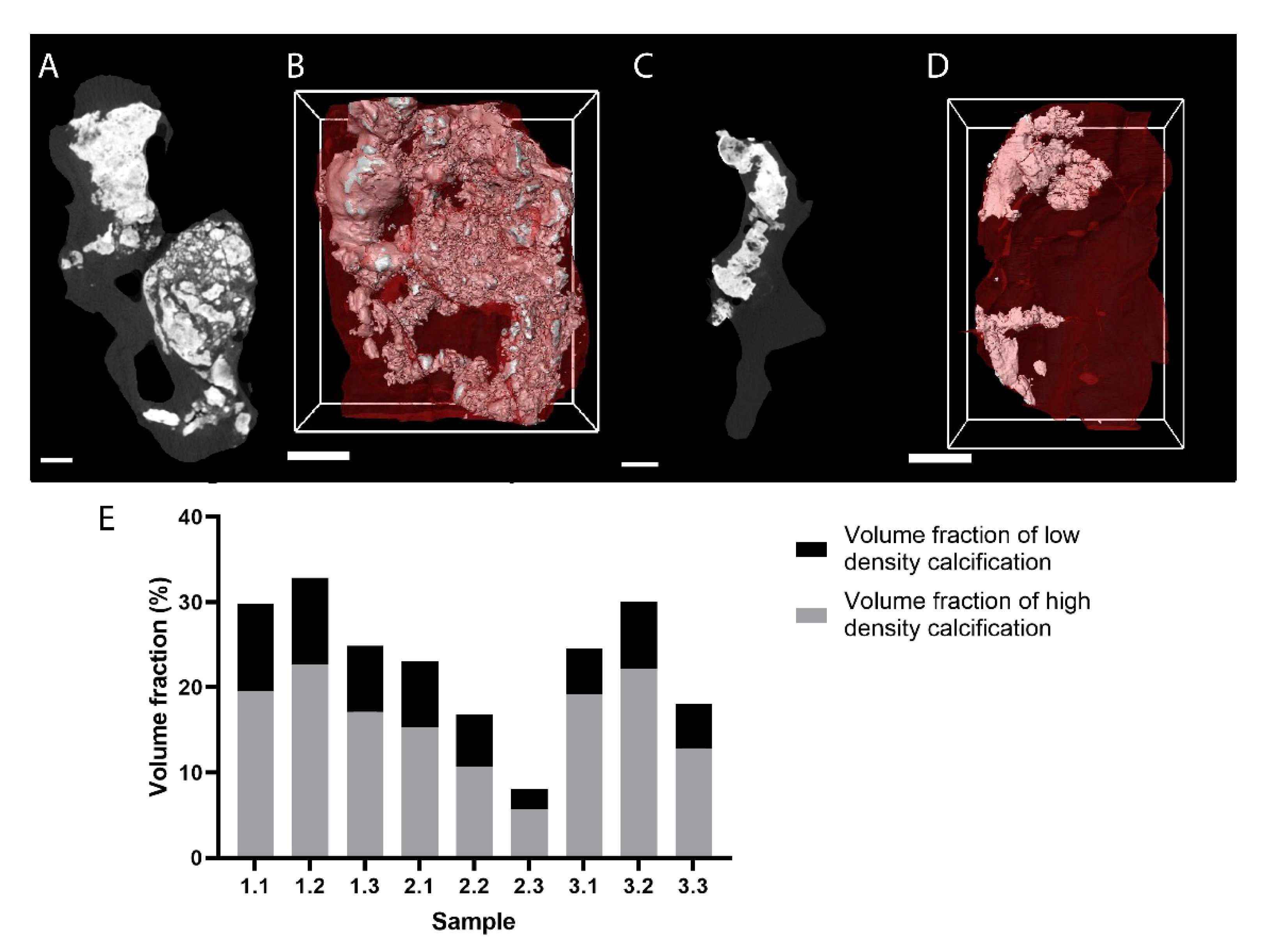 Ijms 22 03263 g004 Ijms 22 03263 g004