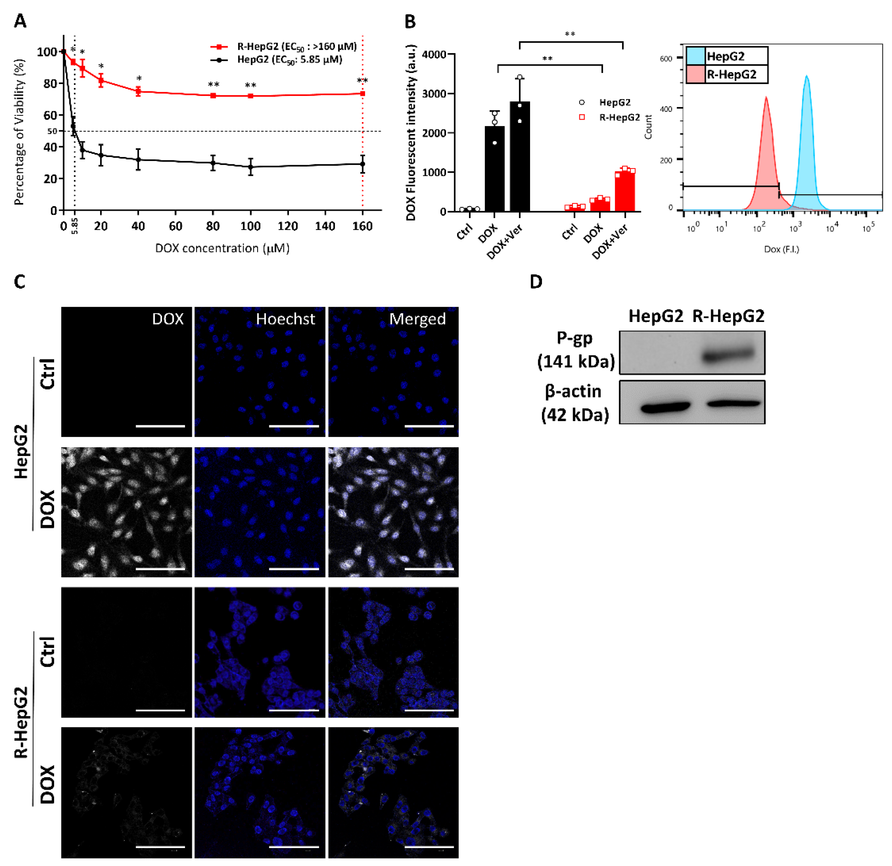 Ijms 22 03315 g001 Ijms 22 03315 g001