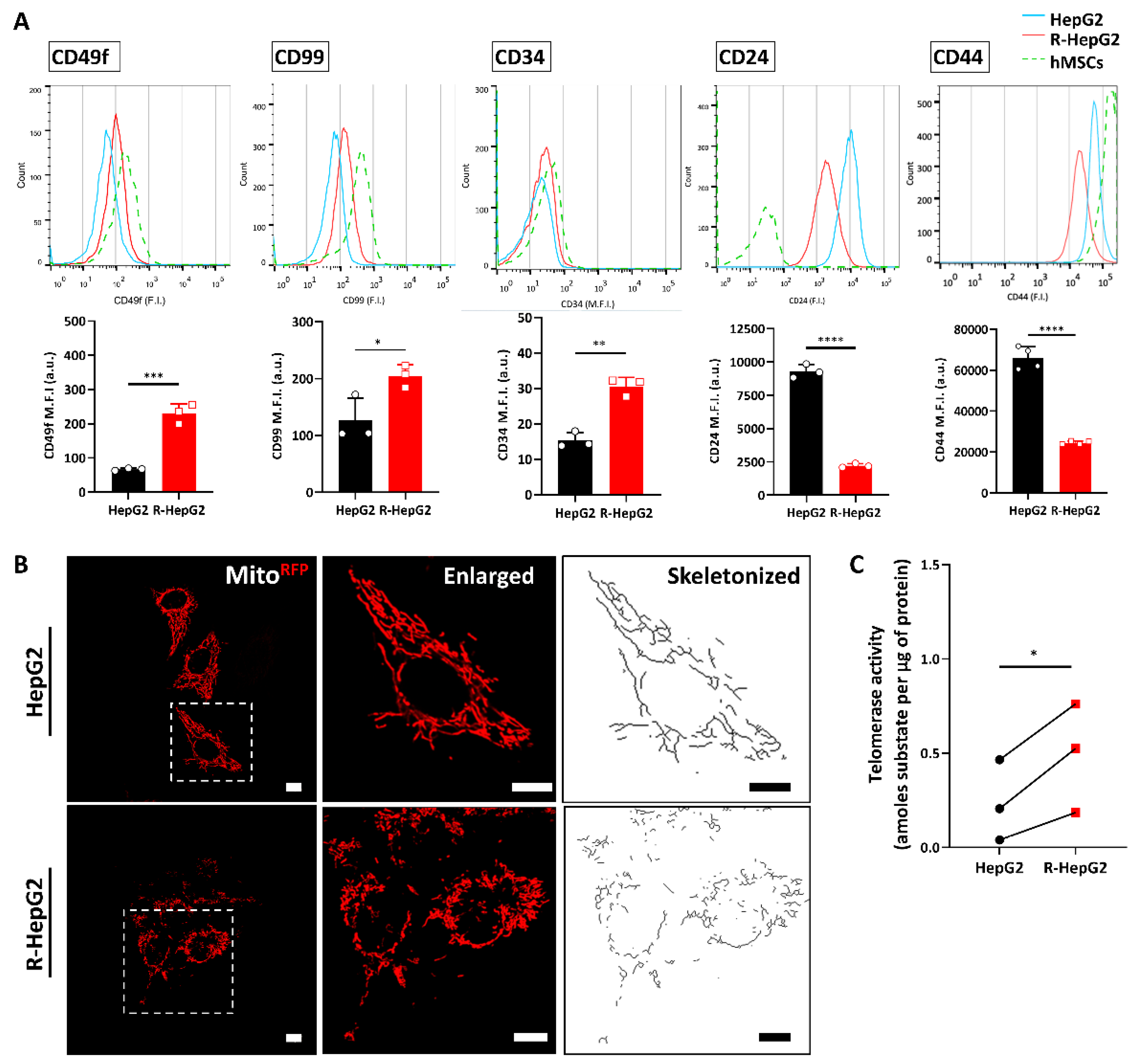 Ijms 22 03315 g002 Ijms 22 03315 g002