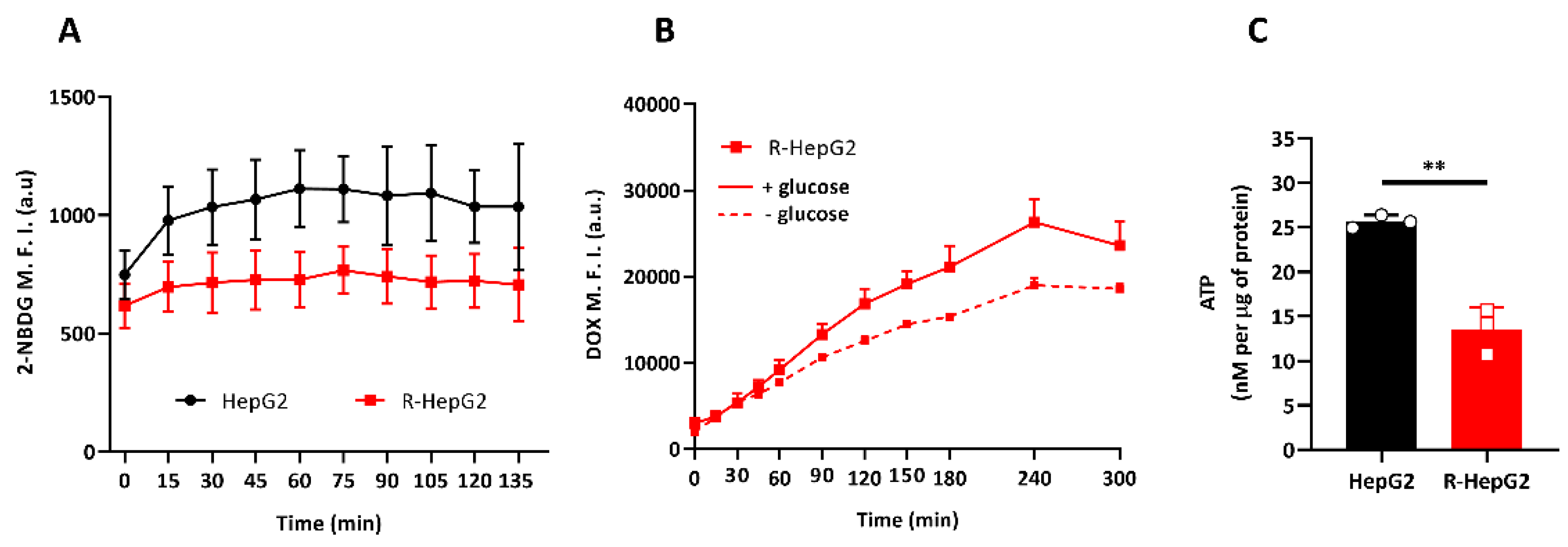 Ijms 22 03315 g003 Ijms 22 03315 g003