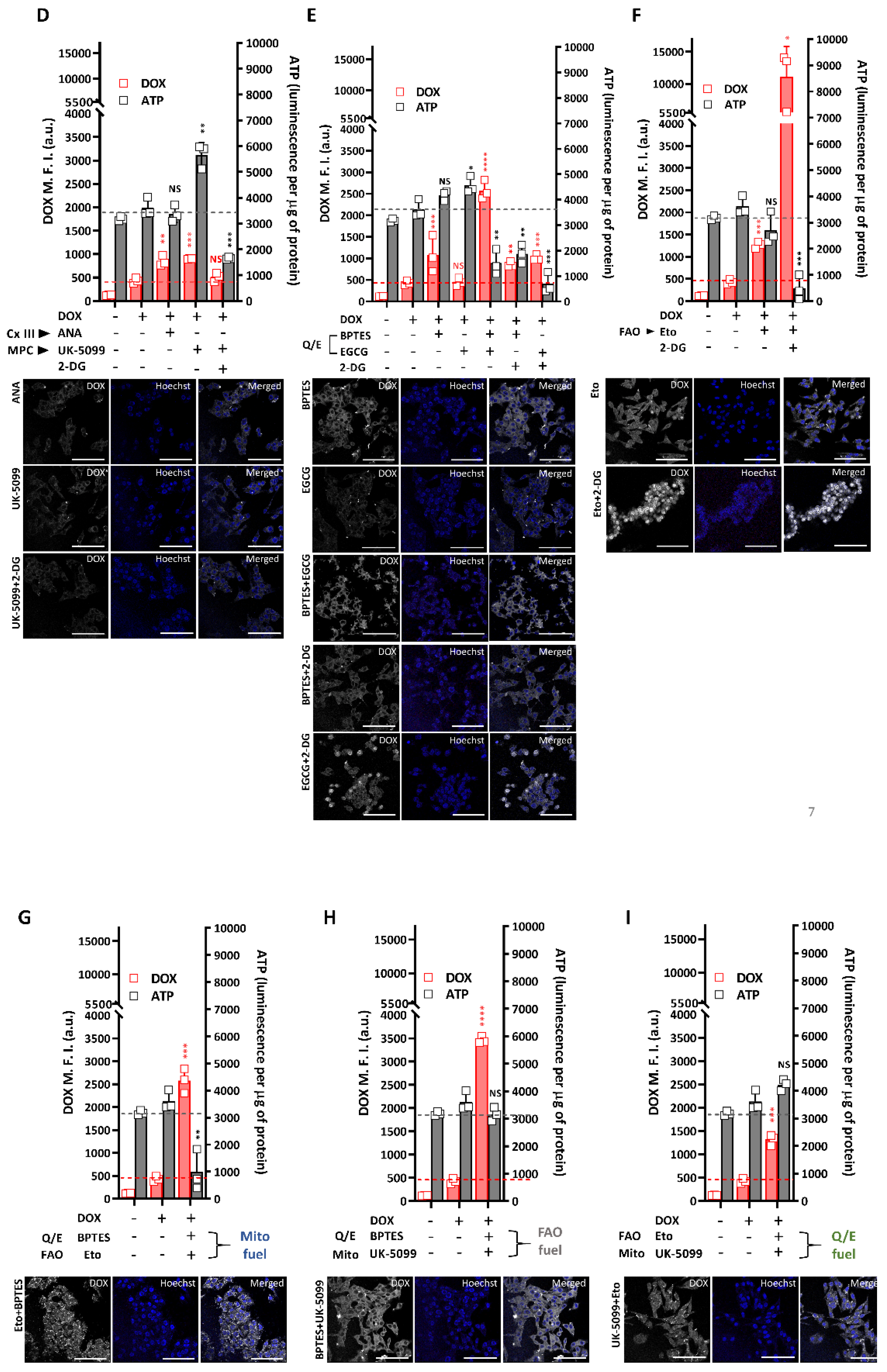 Ijms 22 03315 g005b Ijms 22 03315 g005b