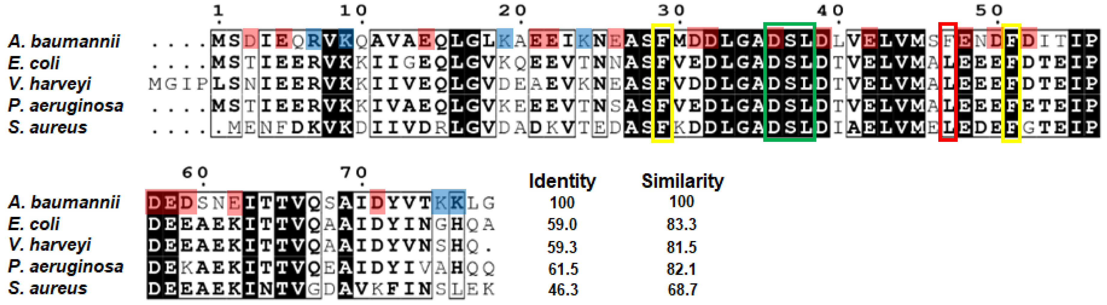 Ijms 22 03317 g001 Ijms 22 03317 g001