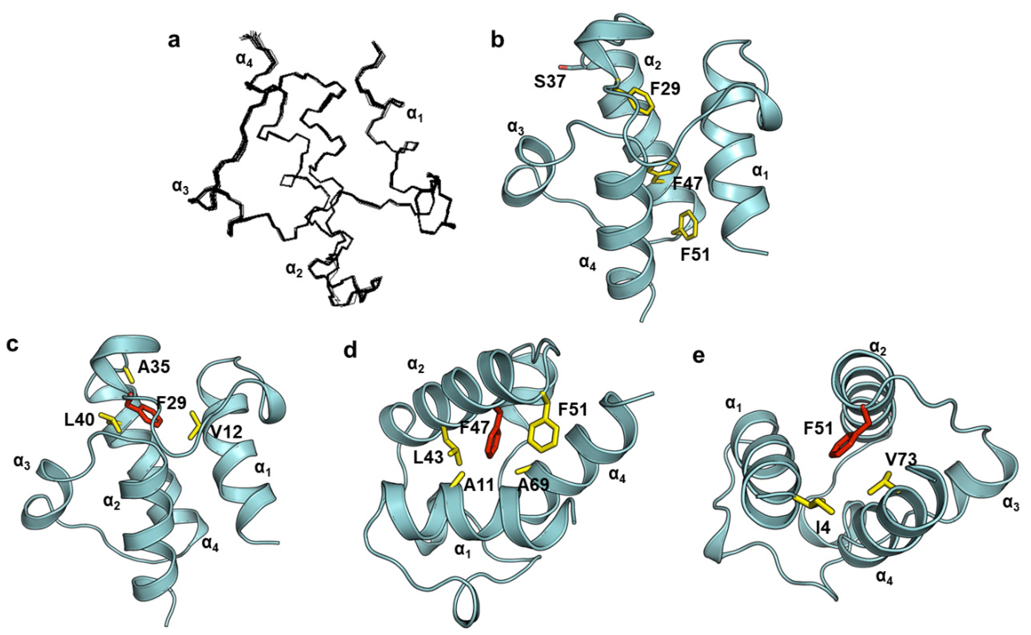 Ijms 22 03317 g002 Ijms 22 03317 g002