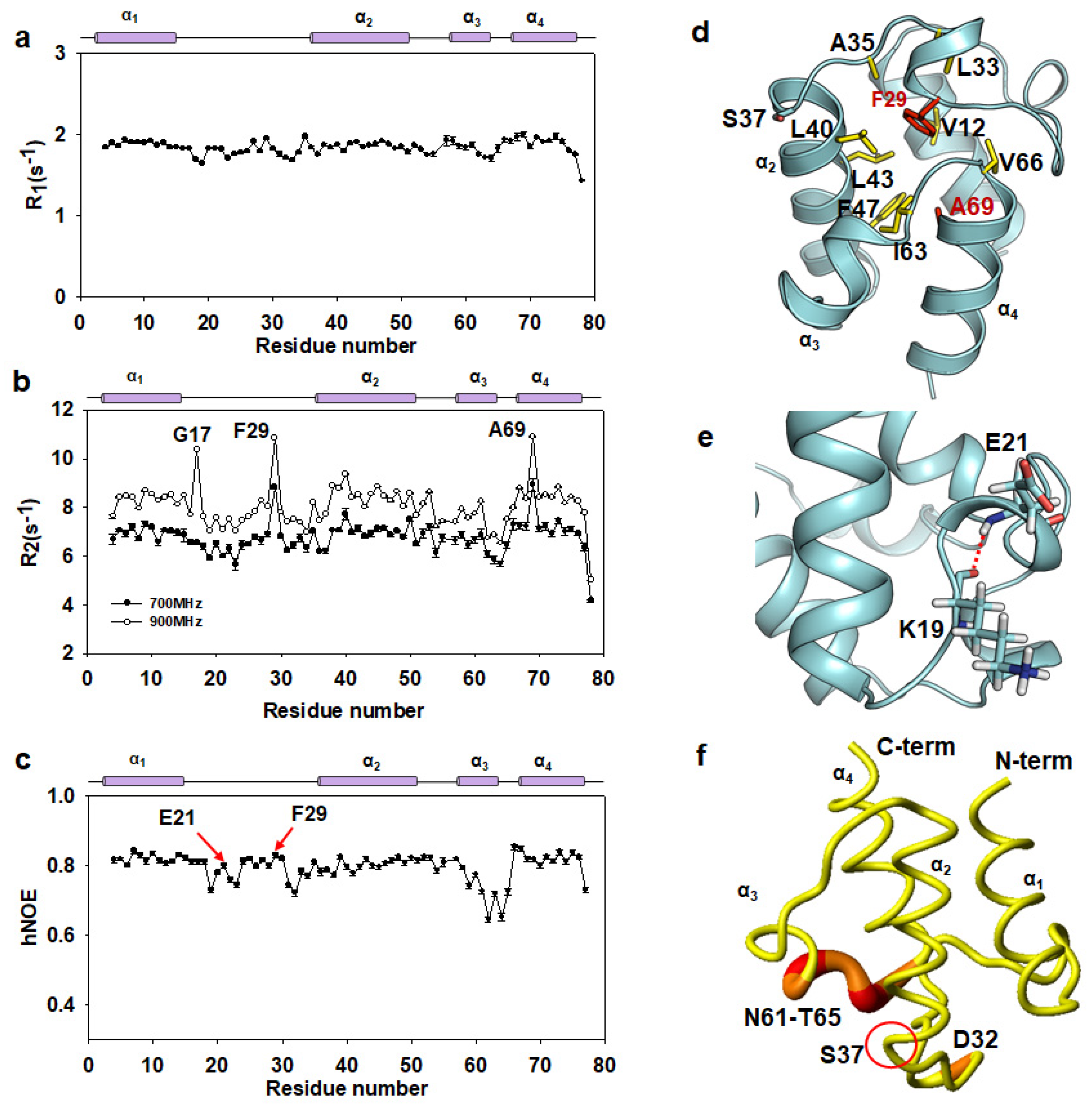 Ijms 22 03317 g004 Ijms 22 03317 g004