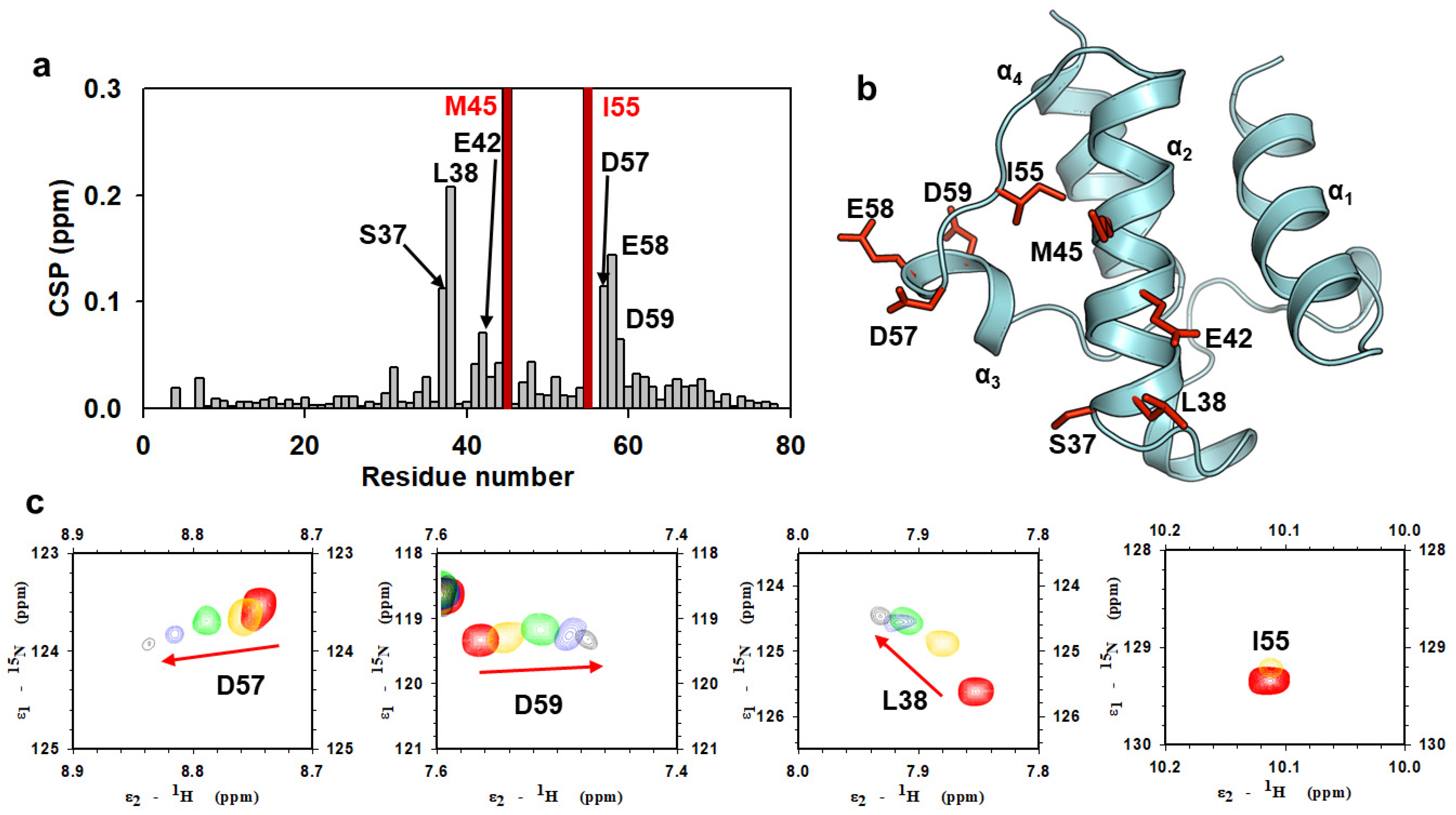 Ijms 22 03317 g005 Ijms 22 03317 g005