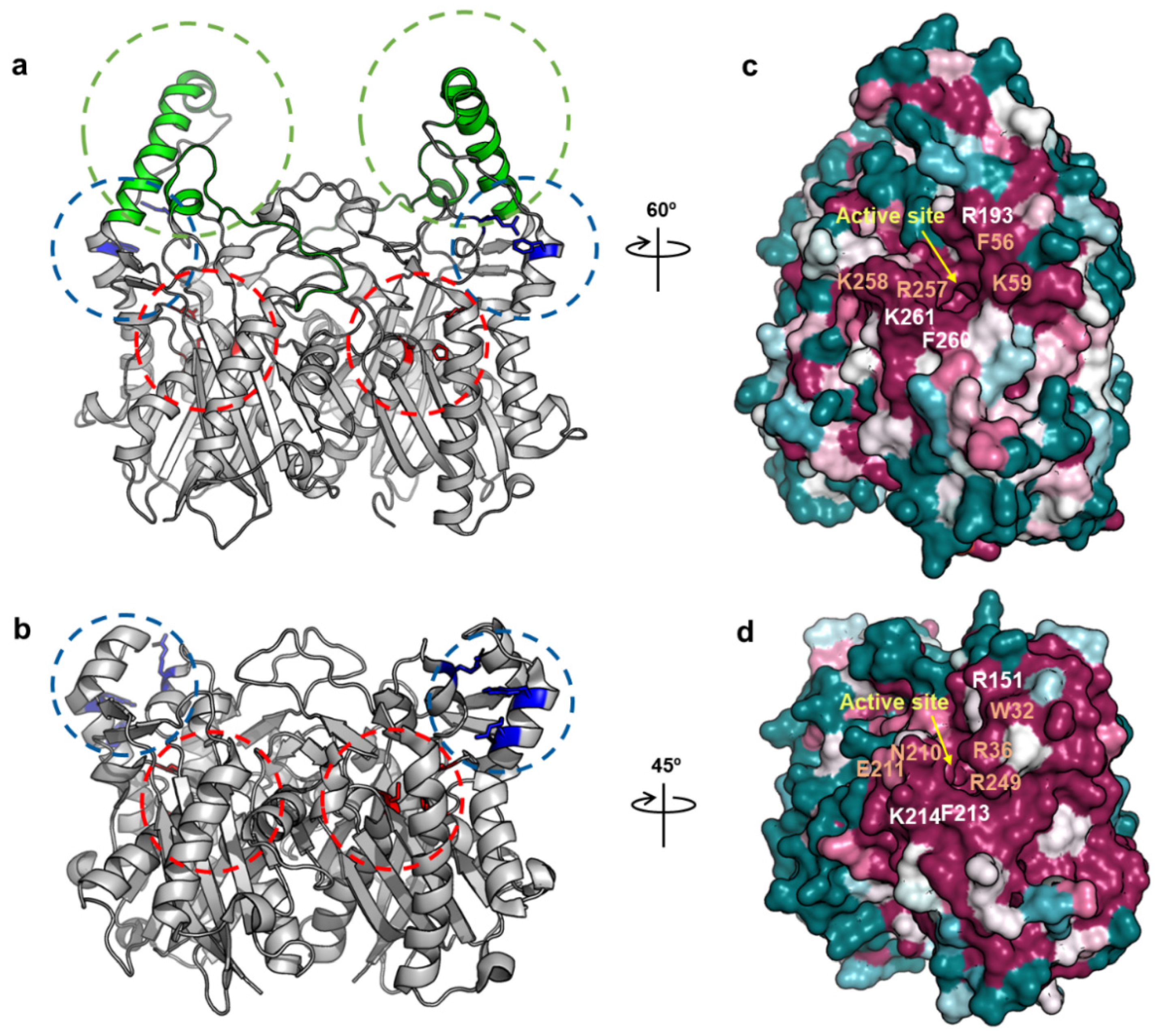 Ijms 22 03317 g006 Ijms 22 03317 g006