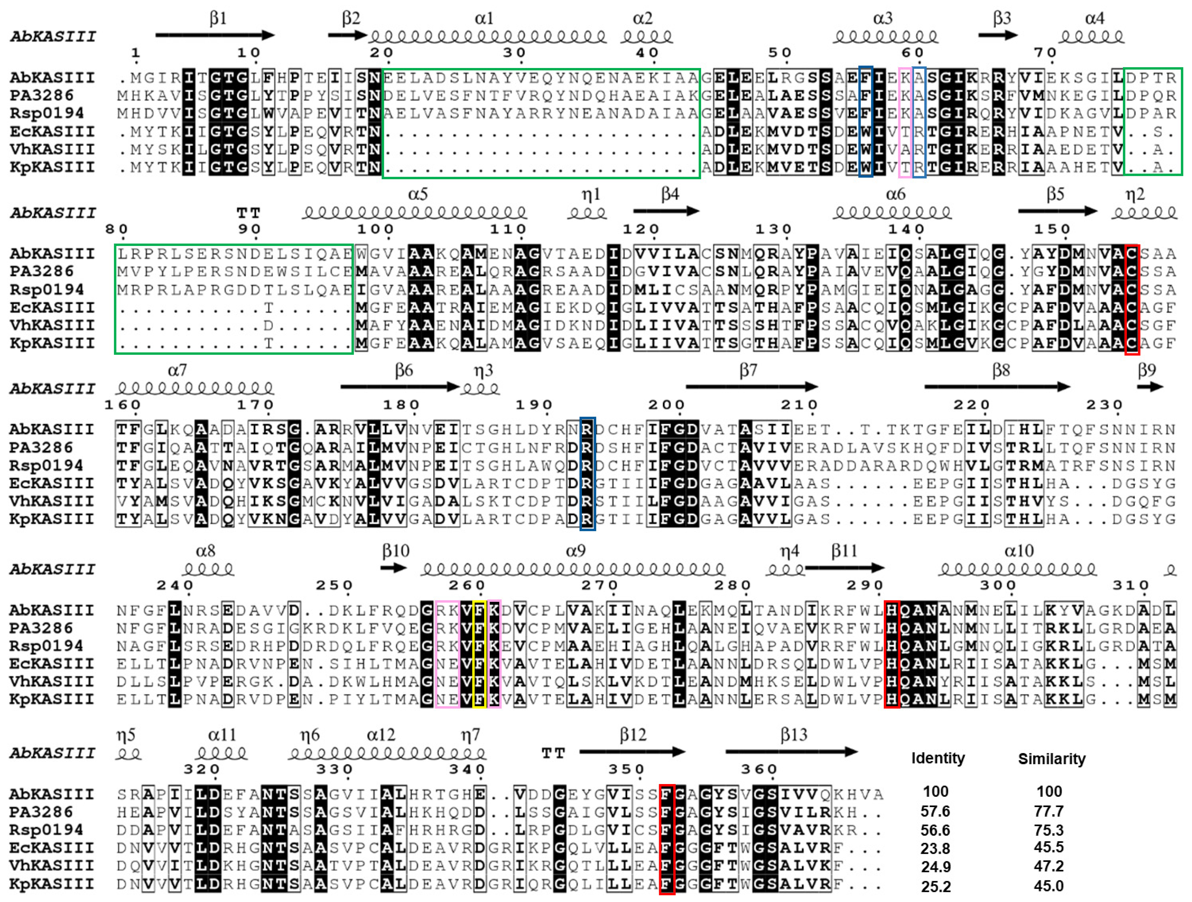Ijms 22 03317 g007 Ijms 22 03317 g007