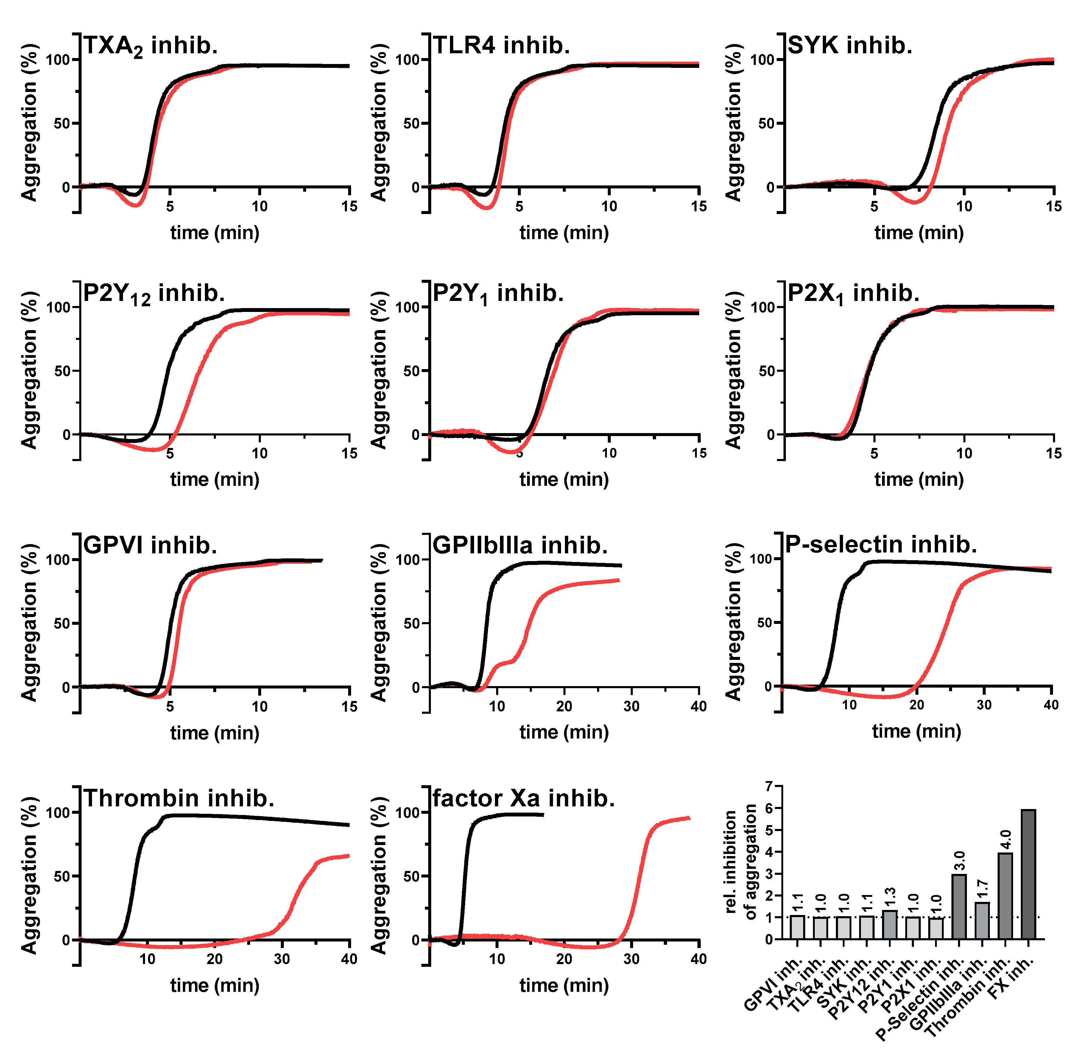 Ijms 22 03323 g002 Ijms 22 03323 g002