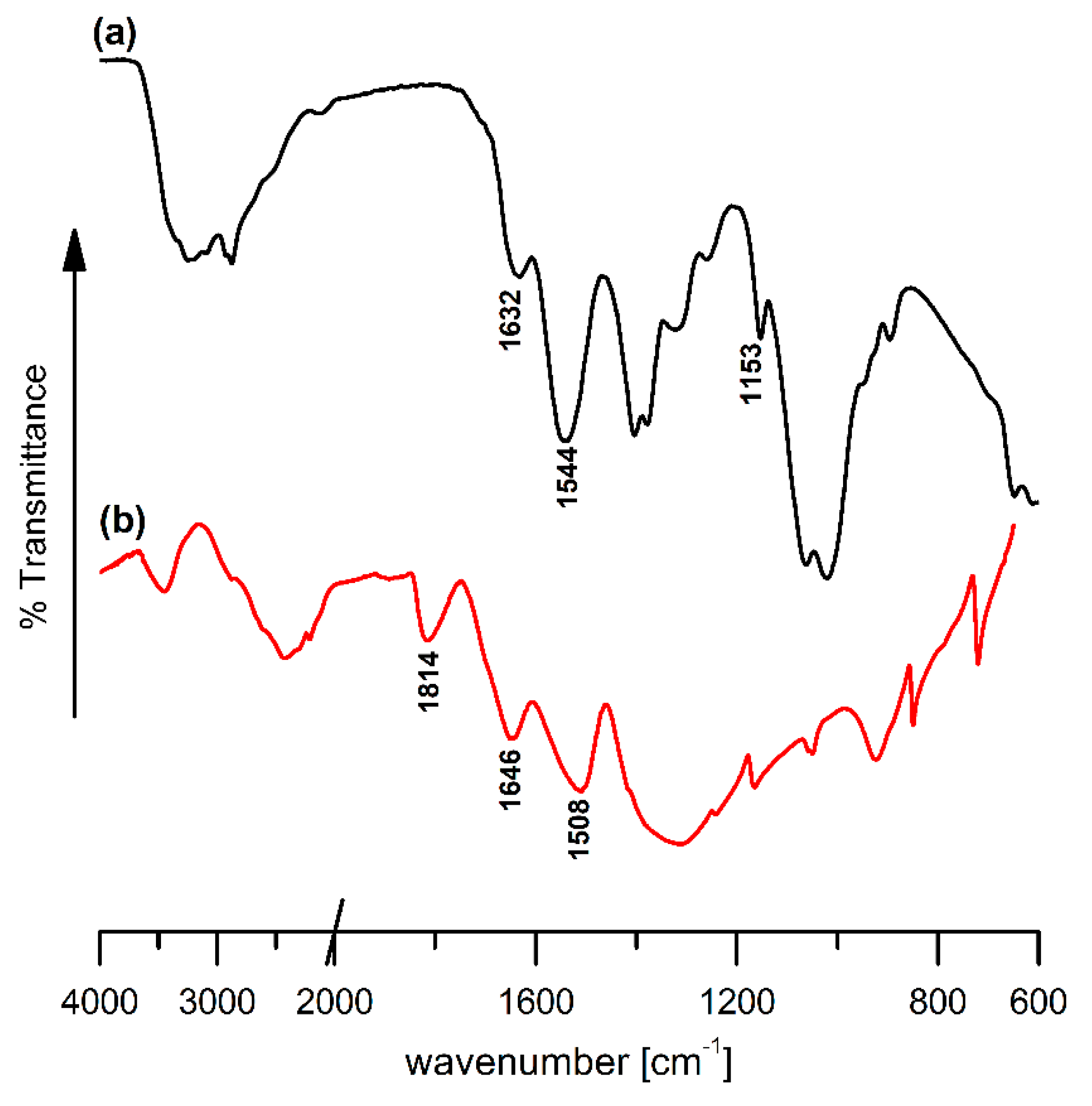 Ijms 22 03329 g002 Ijms 22 03329 g002