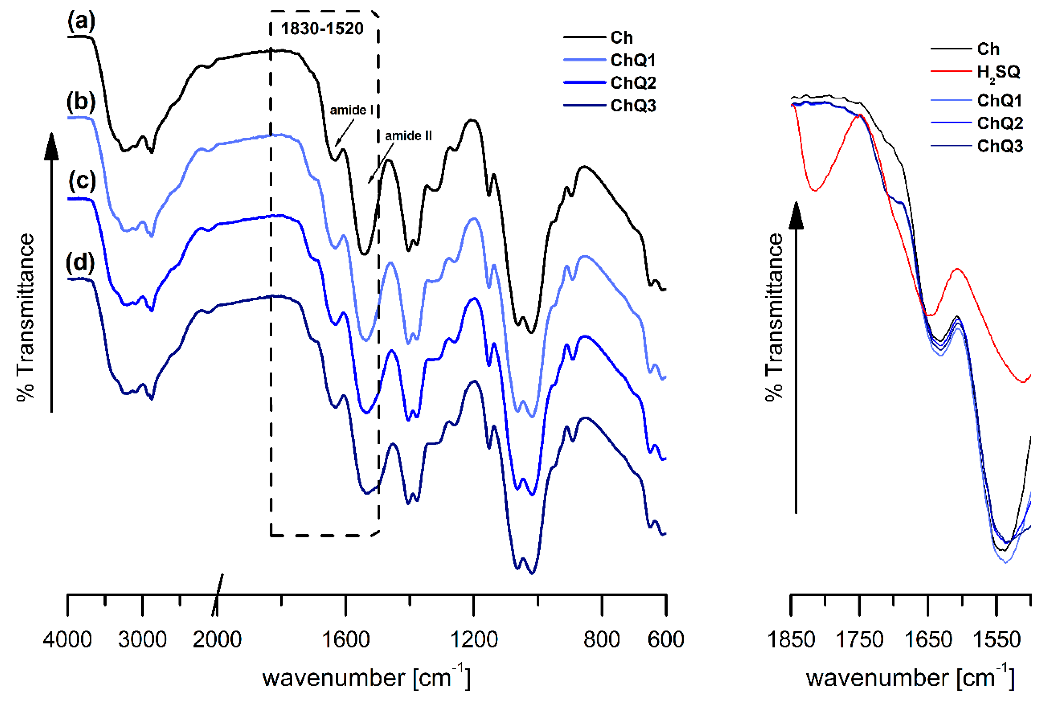 Ijms 22 03329 g003 Ijms 22 03329 g003