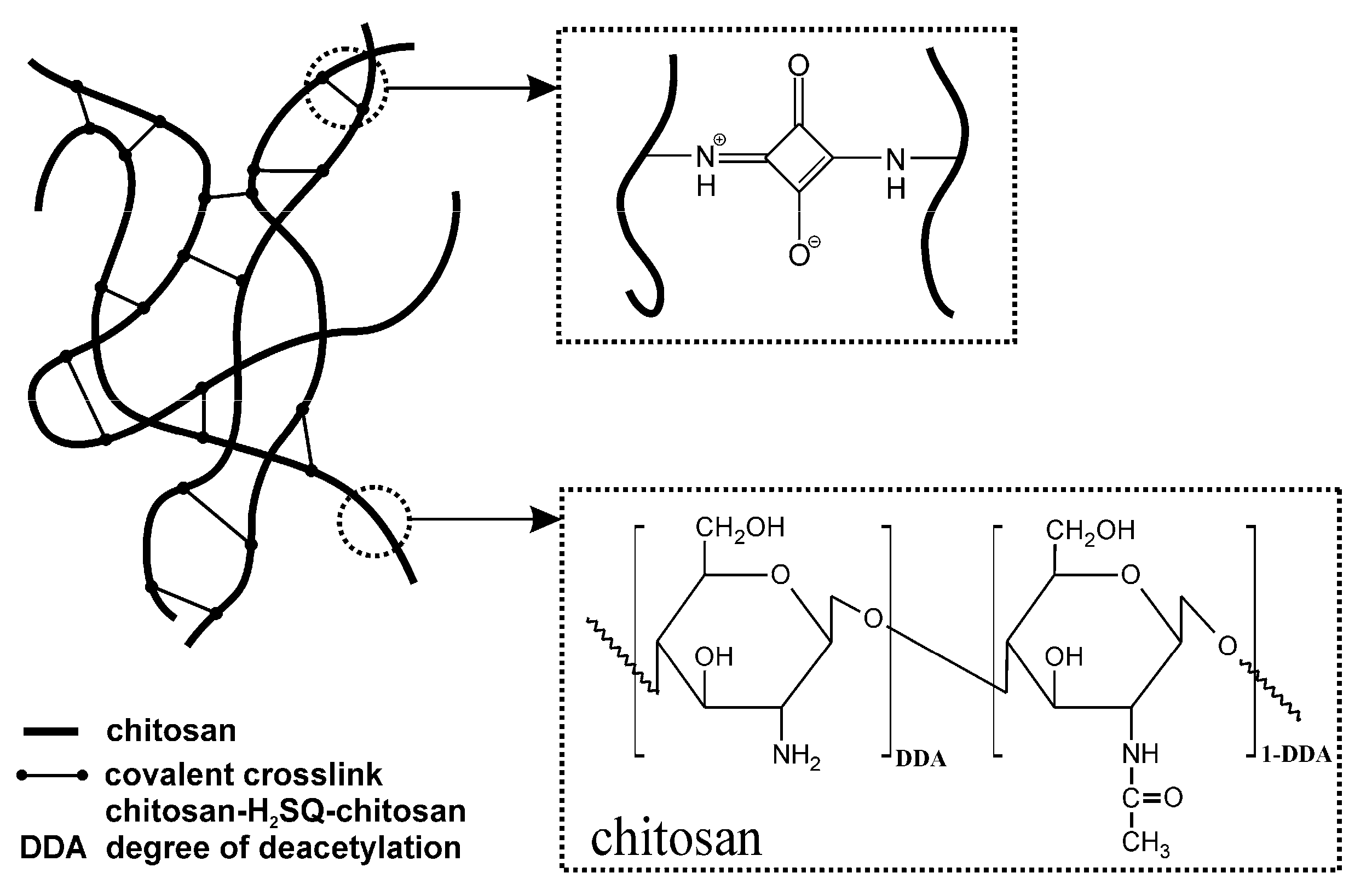 Ijms 22 03329 g004 Ijms 22 03329 g004