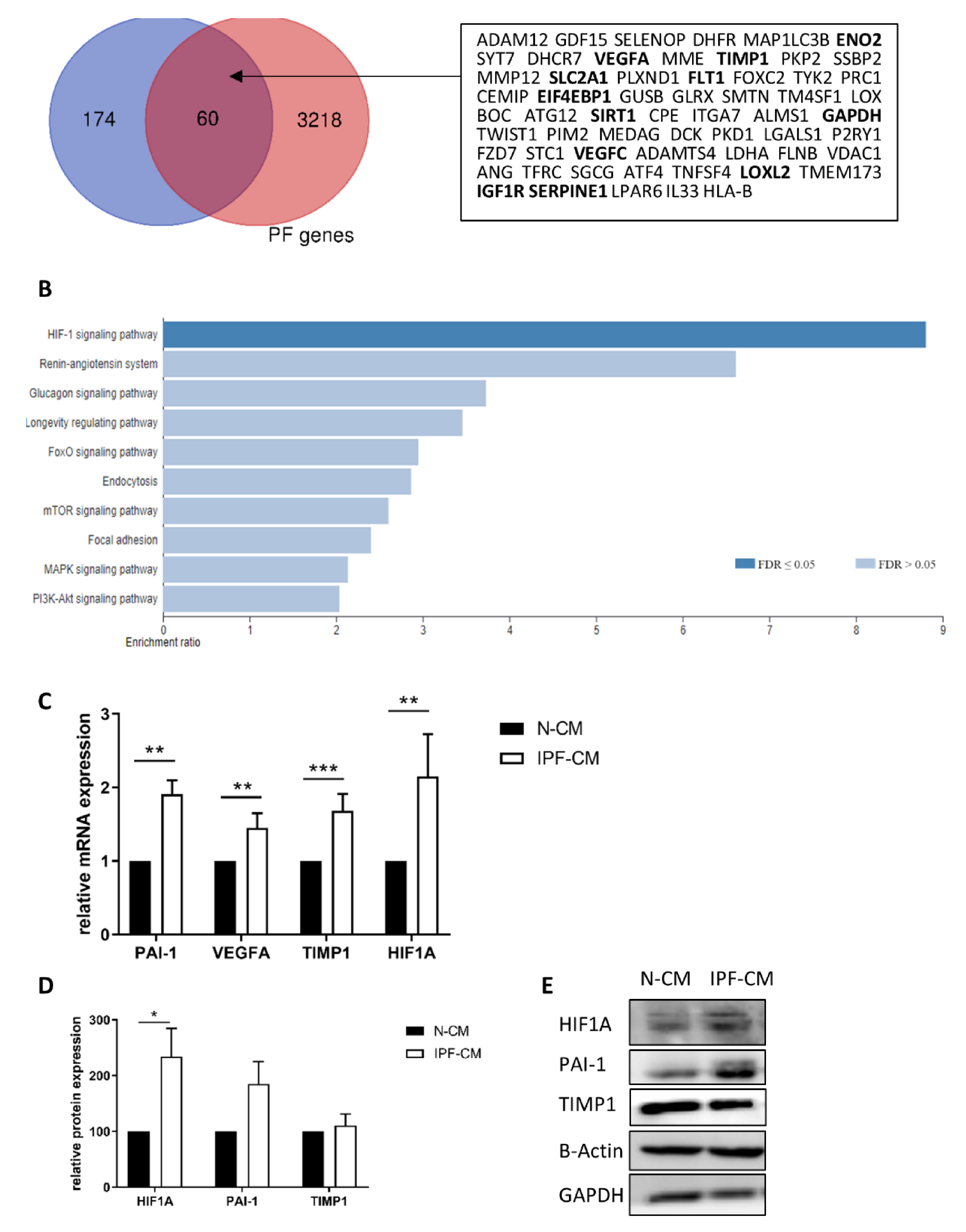 Ijms 22 03331 g001 Ijms 22 03331 g001