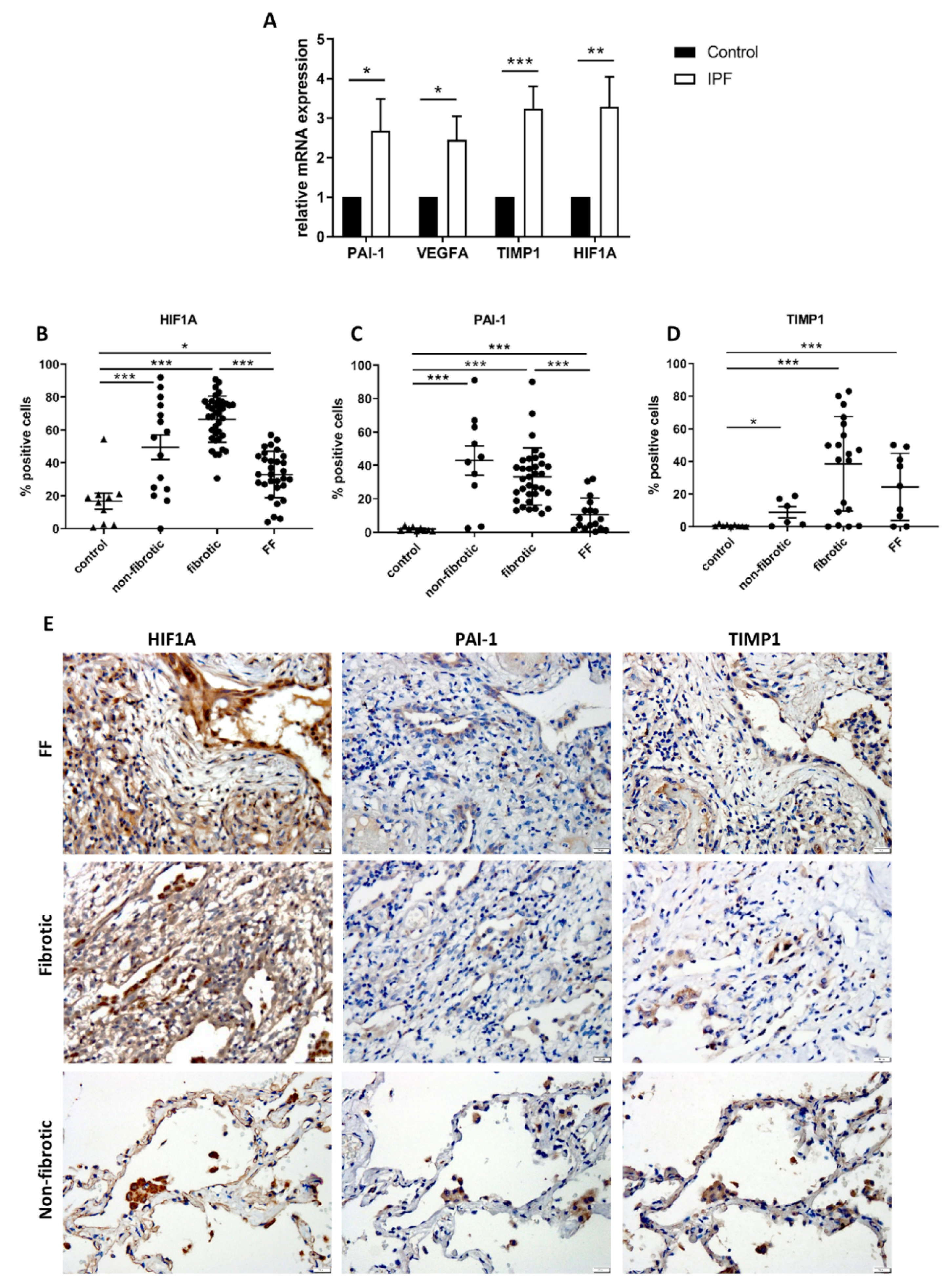 Ijms 22 03331 g002 Ijms 22 03331 g002