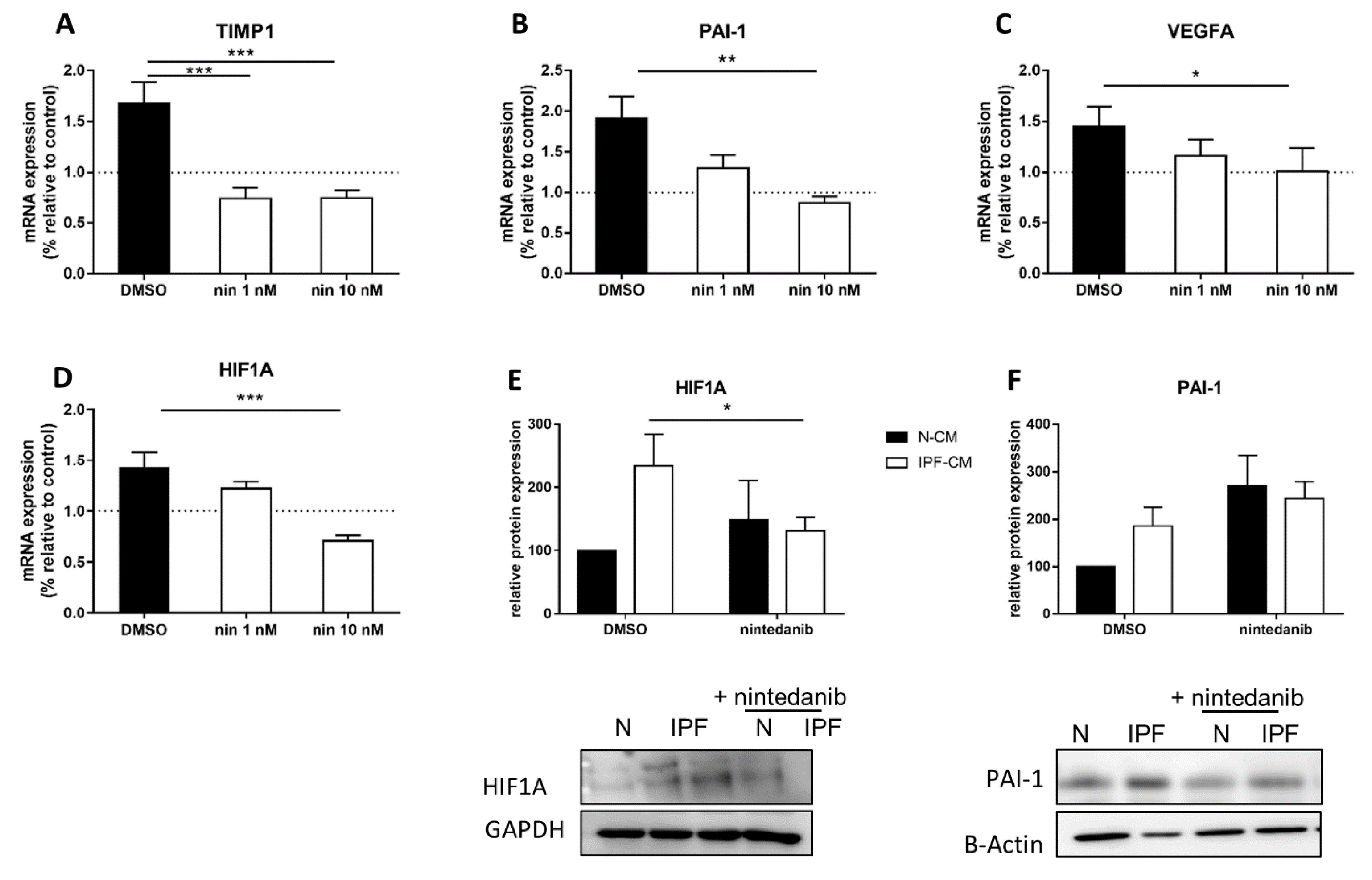 Ijms 22 03331 g003 Ijms 22 03331 g003