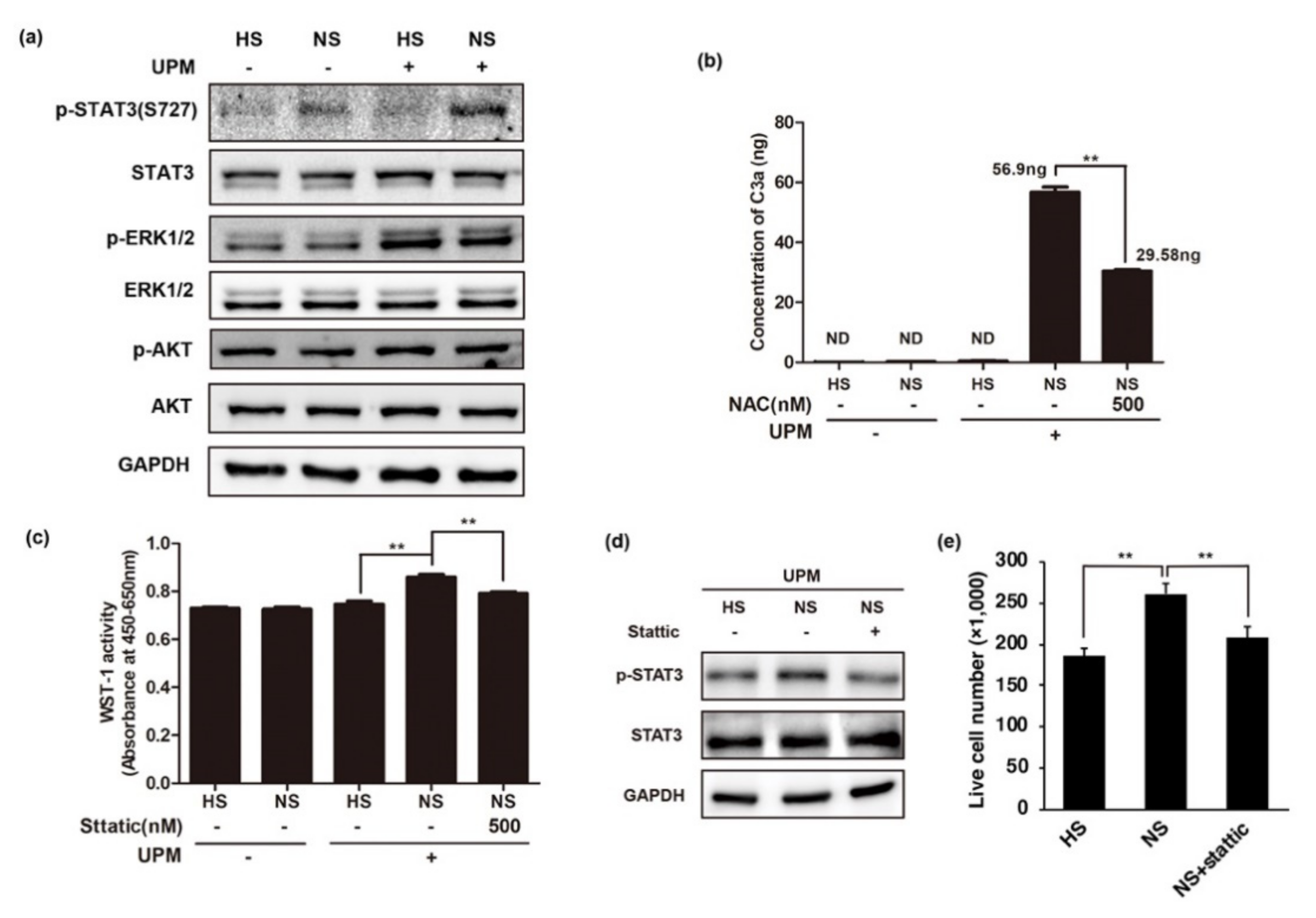 Ijms 22 03336 g005 Ijms 22 03336 g005