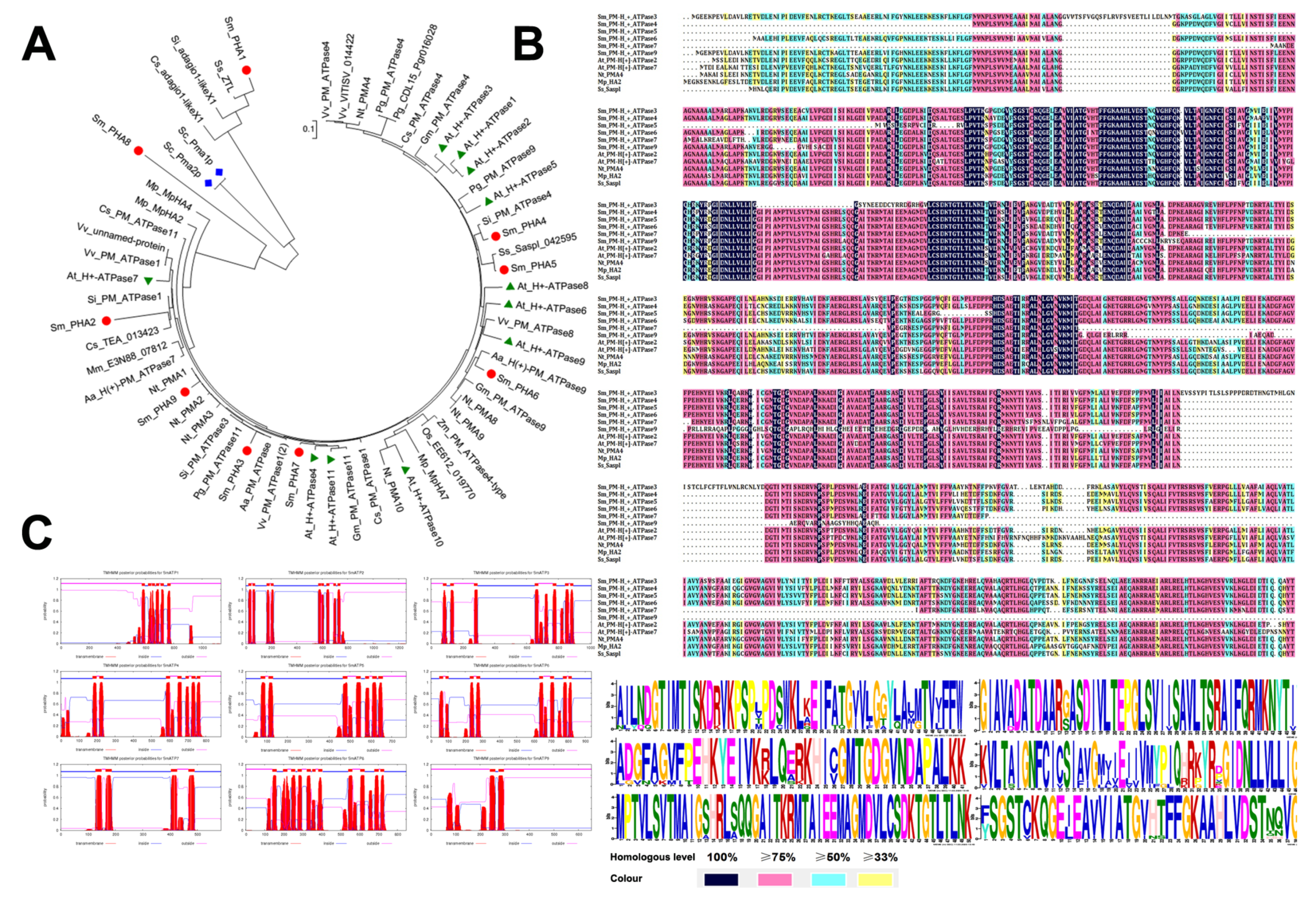 Ijms 22 03353 g001 Ijms 22 03353 g001