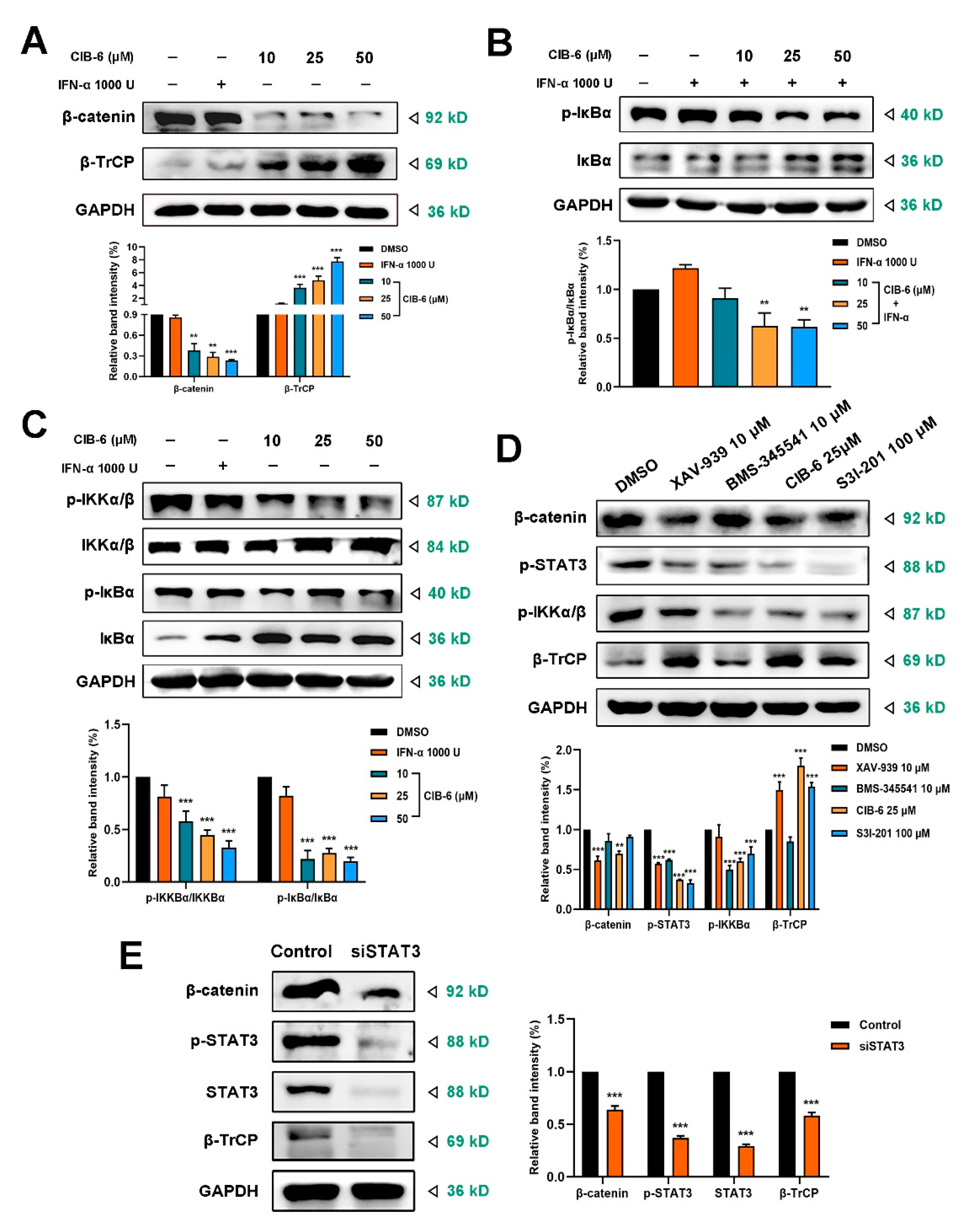 Ijms 22 03354 g005 Ijms 22 03354 g005