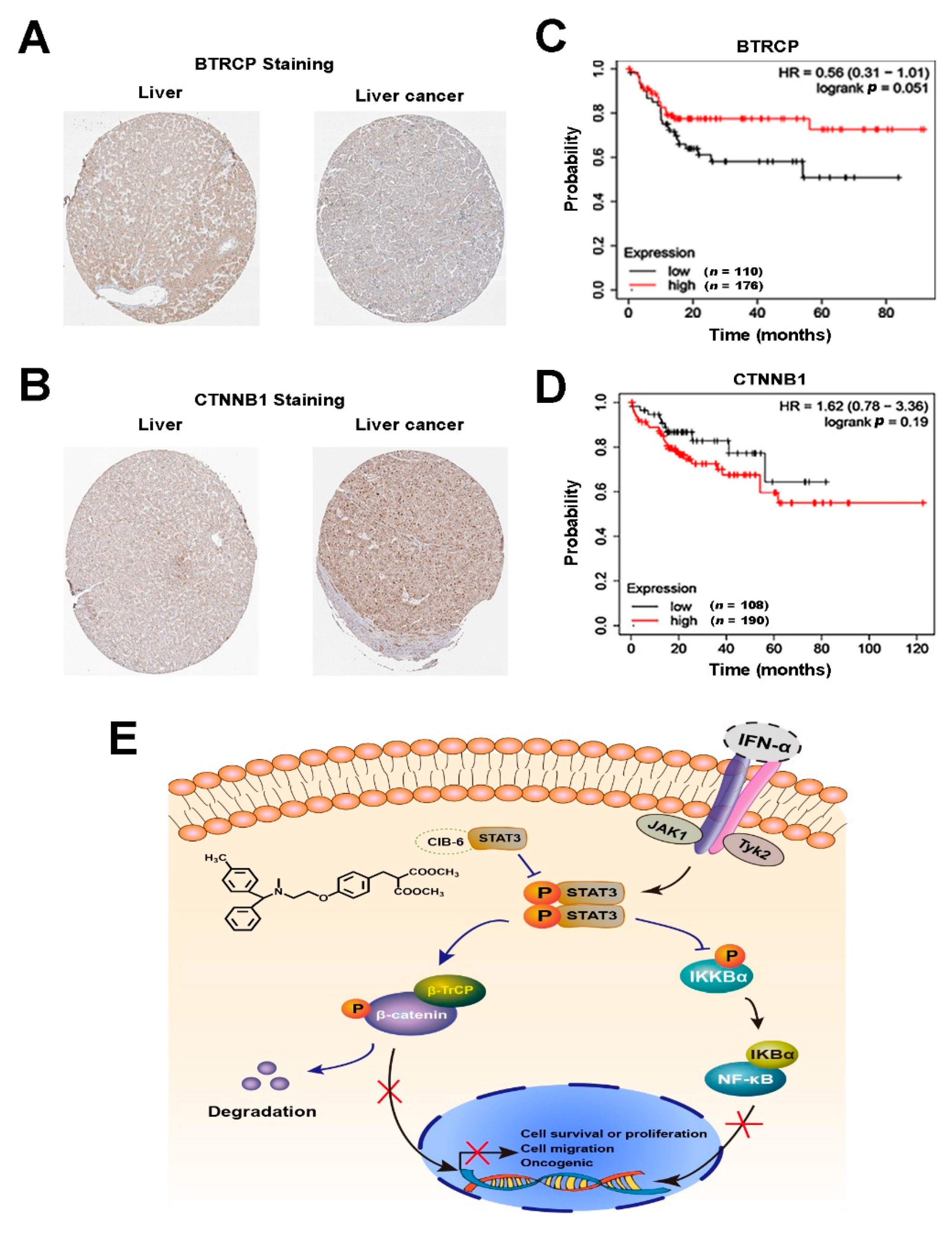 Ijms 22 03354 g007 Ijms 22 03354 g007