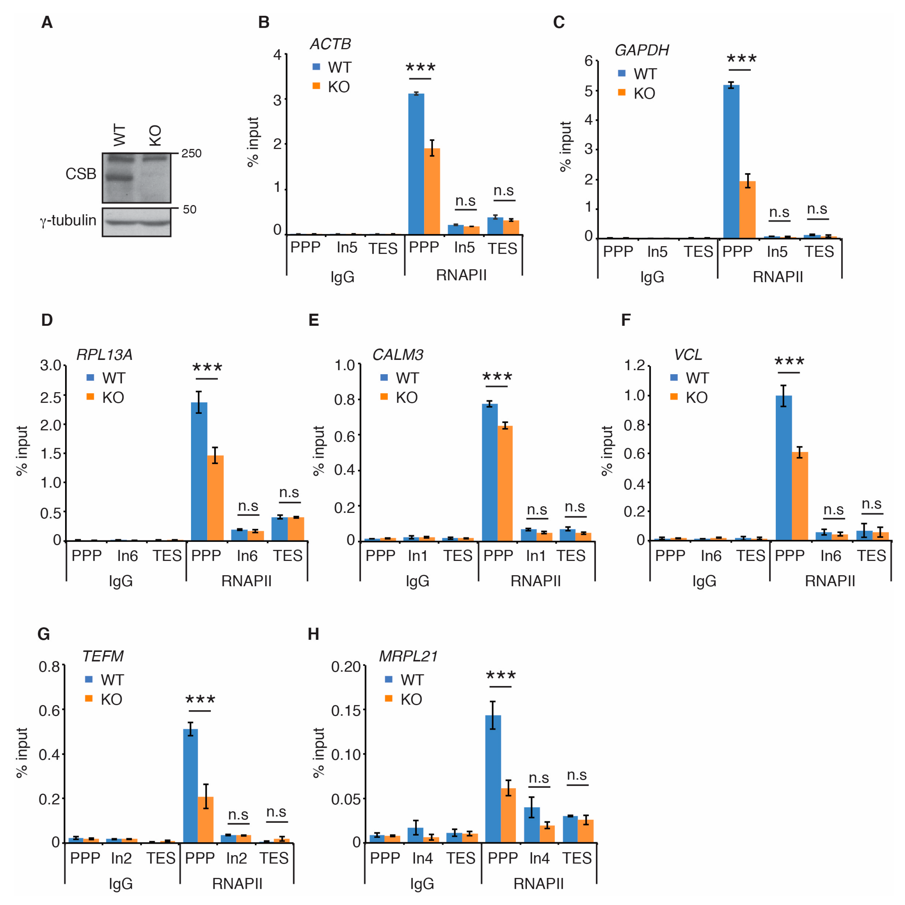 Ijms 22 03379 g001 Ijms 22 03379 g001