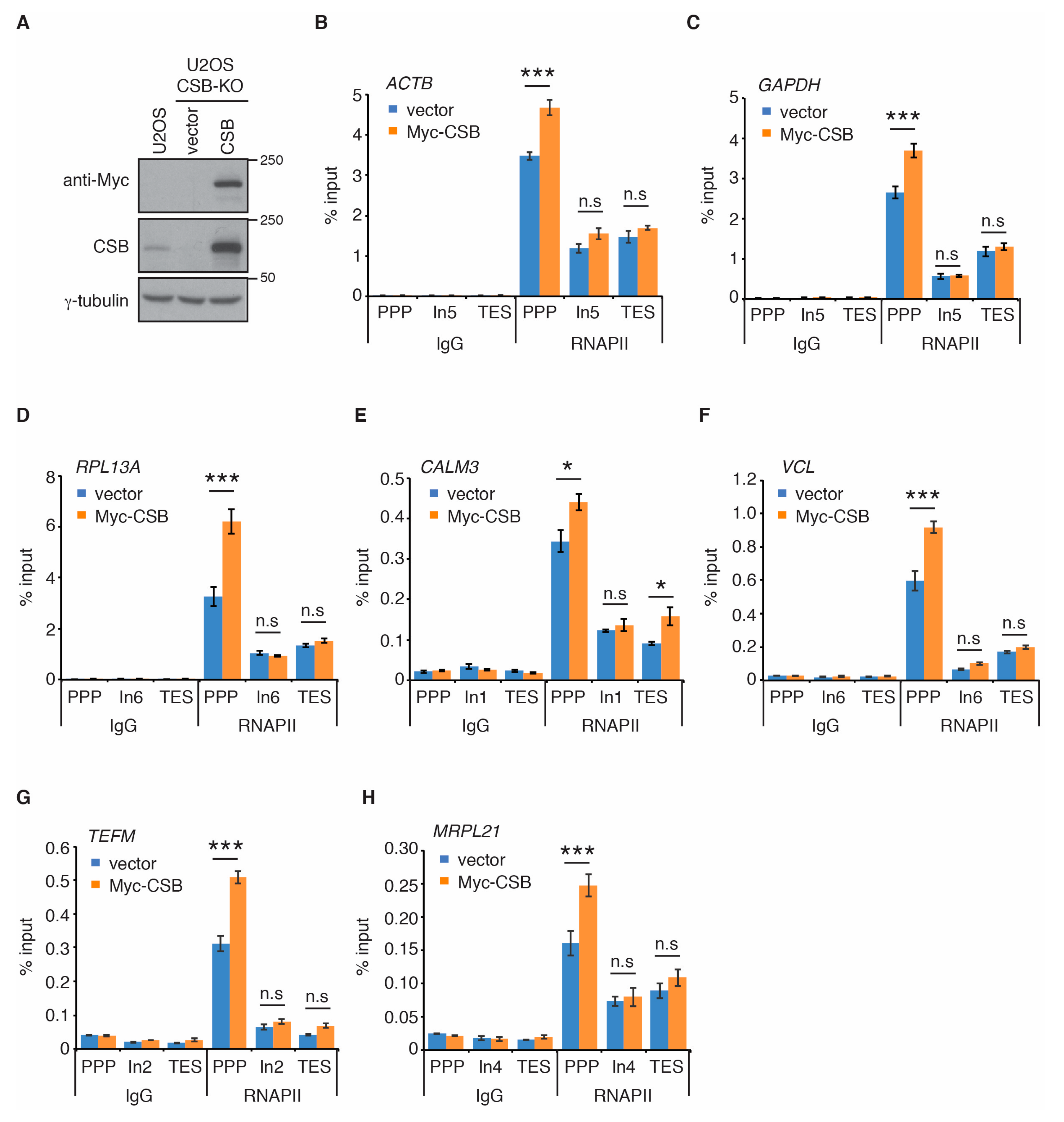 Ijms 22 03379 g002 Ijms 22 03379 g002