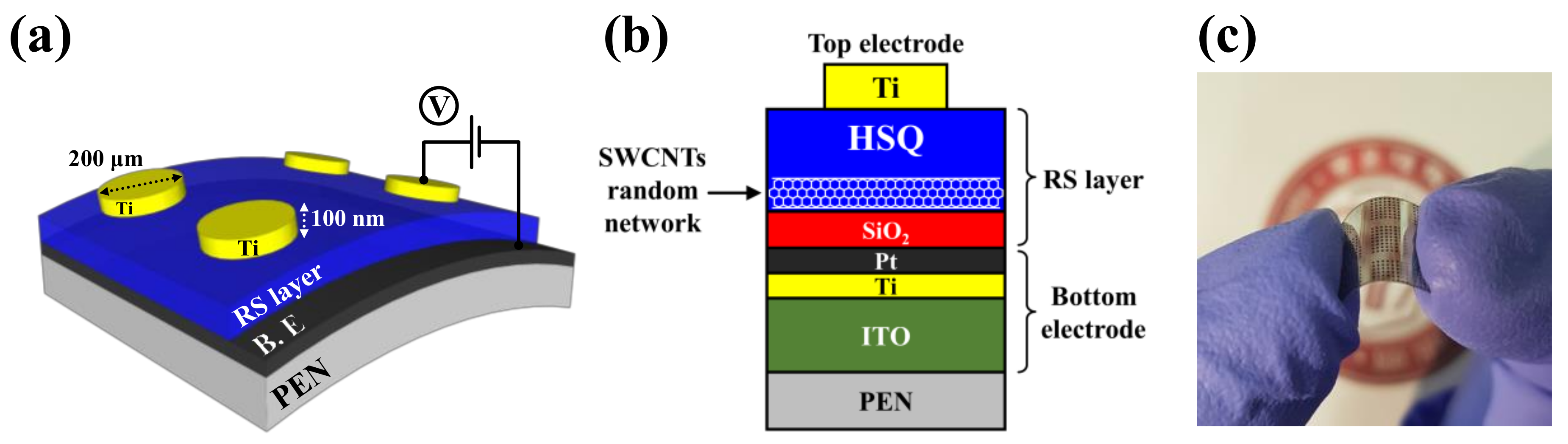 Ijms Free Full Text Resistive Switching Characteristic Improvement In A Single Walled Carbon Nanotube Random Network Embedded Hydrogen Silsesquioxane Thin Films For Flexible Memristors