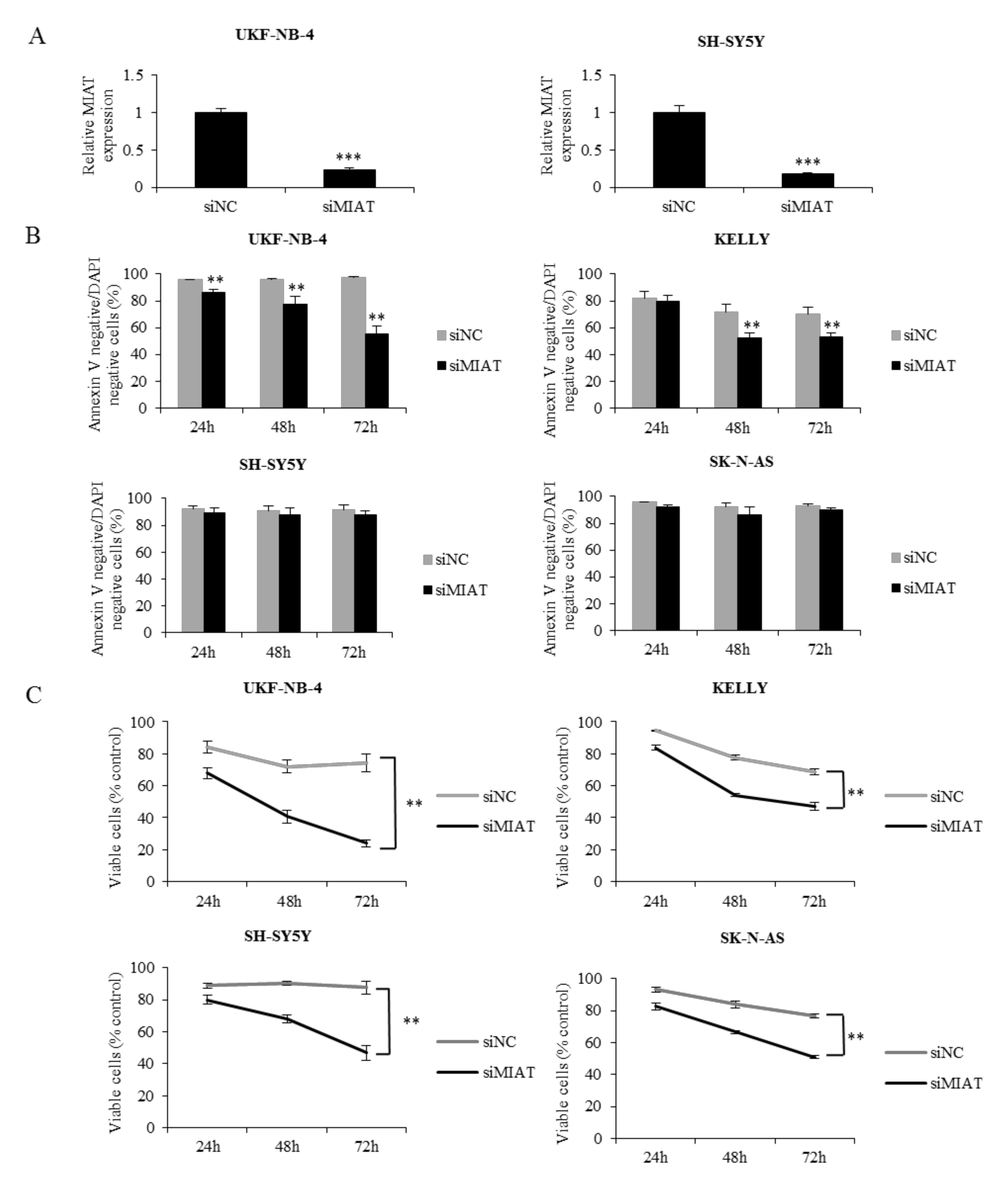 Ijms 22 03393 g002 Ijms 22 03393 g002