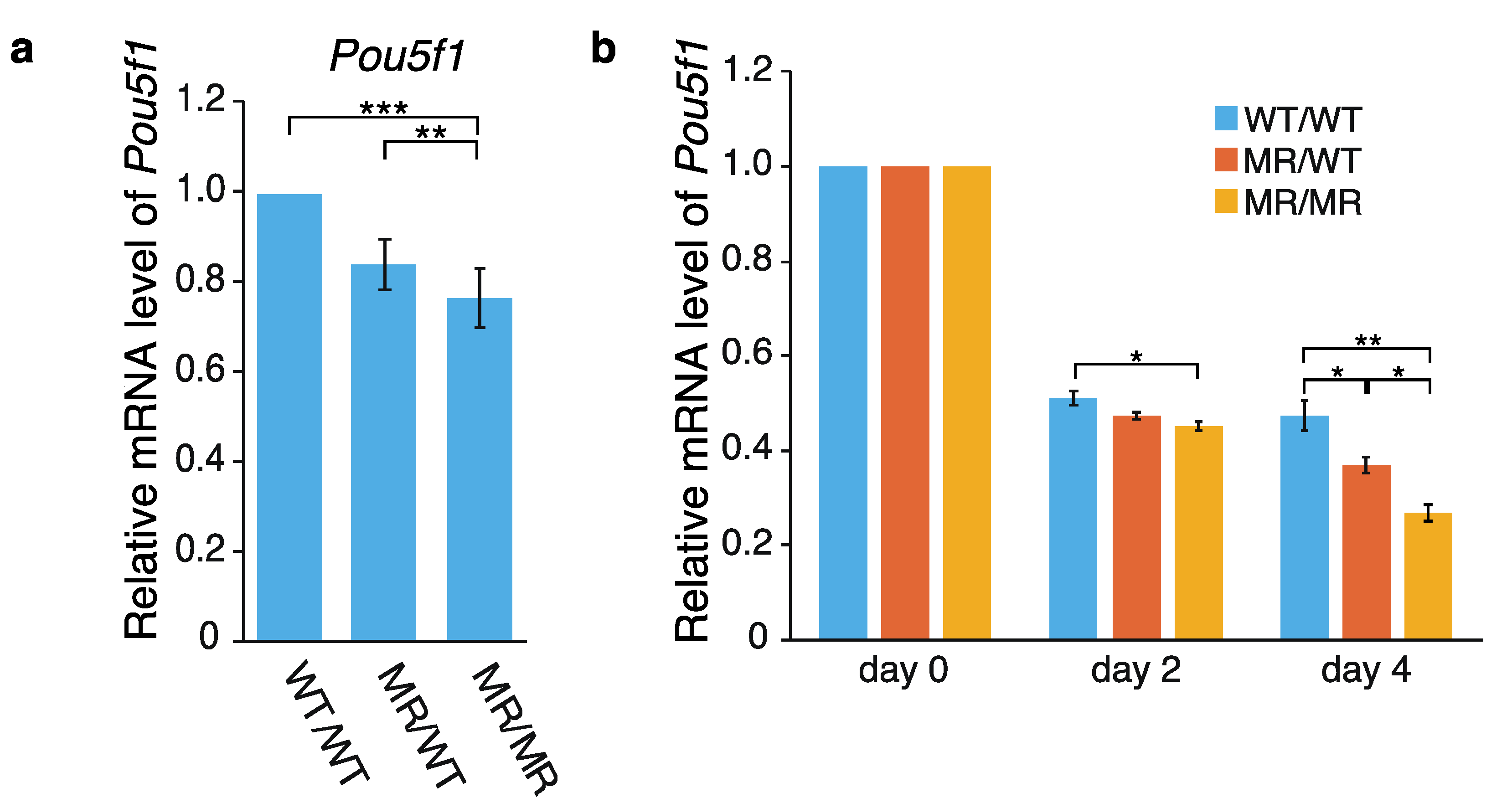 Ijms 22 03399 g002 Ijms 22 03399 g002