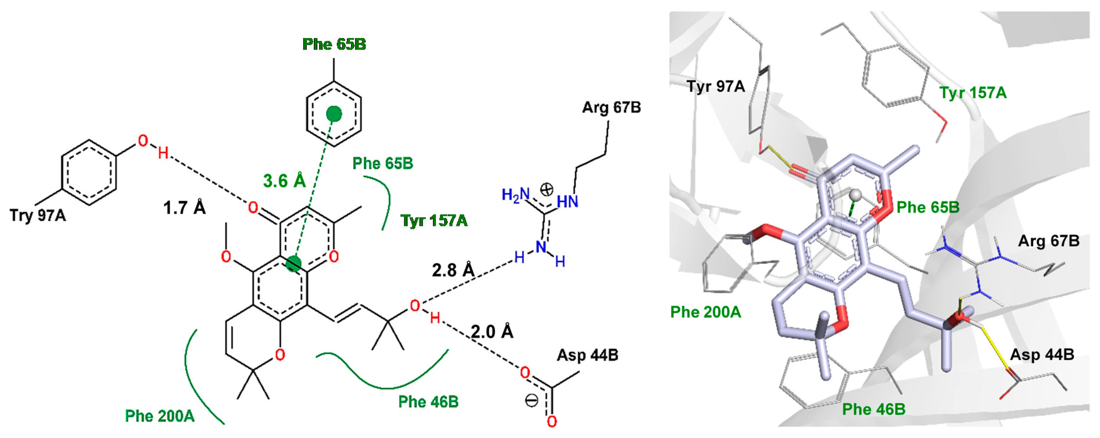 Ijms 22 03413 g007 Ijms 22 03413 g007