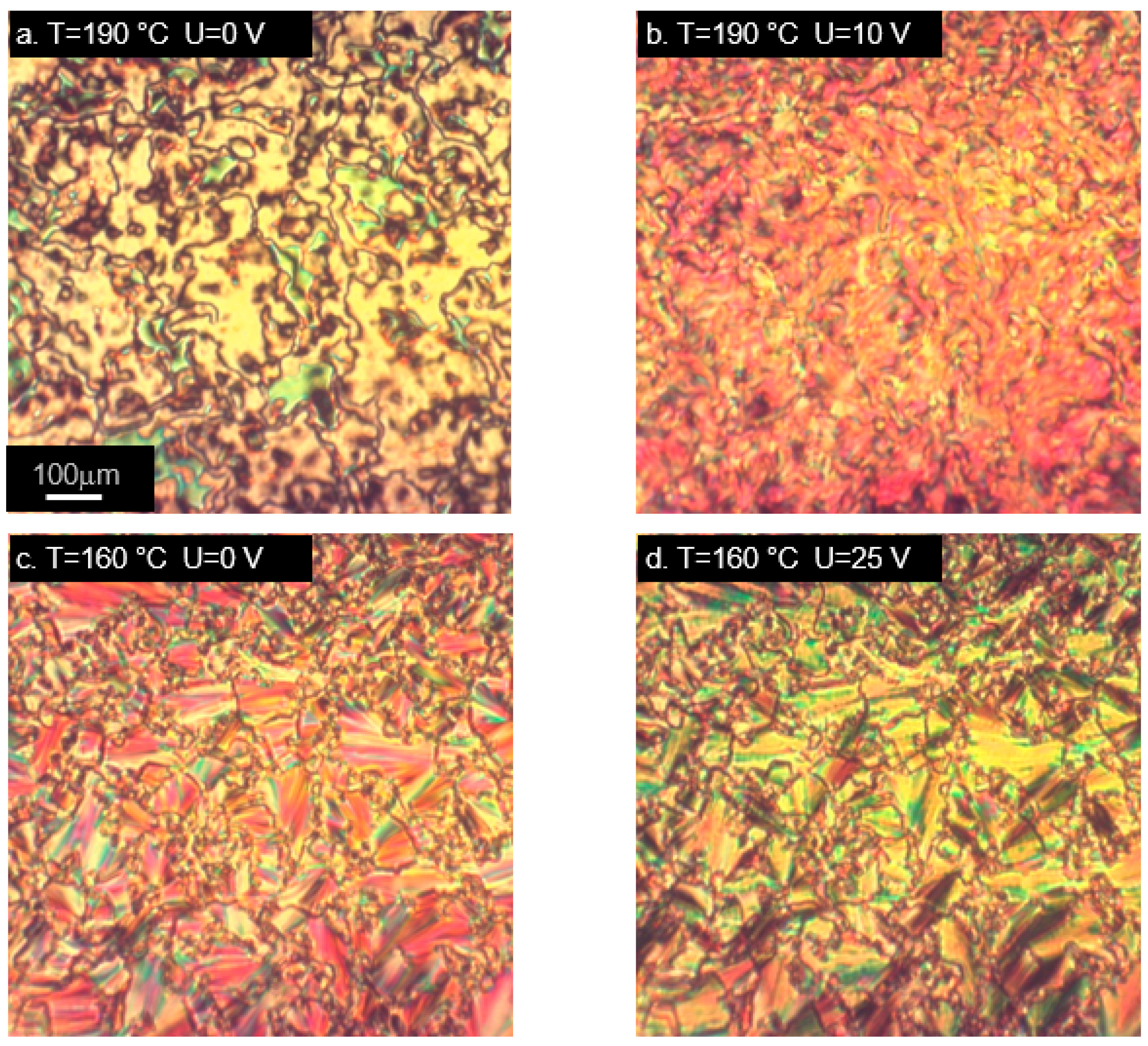 Ijms 22 03424 g005a Ijms 22 03424 g005a