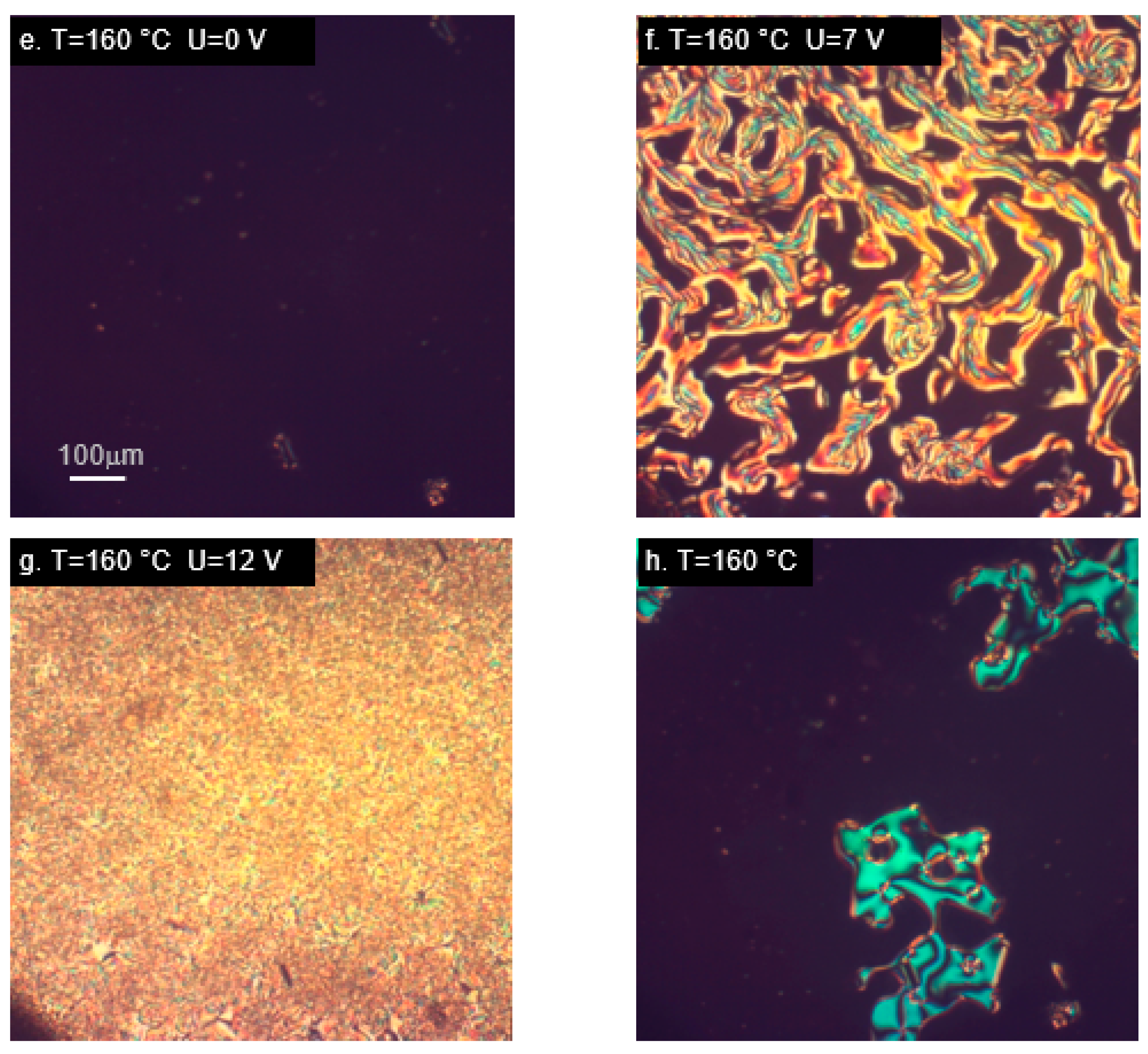 Ijms 22 03424 g005b Ijms 22 03424 g005b