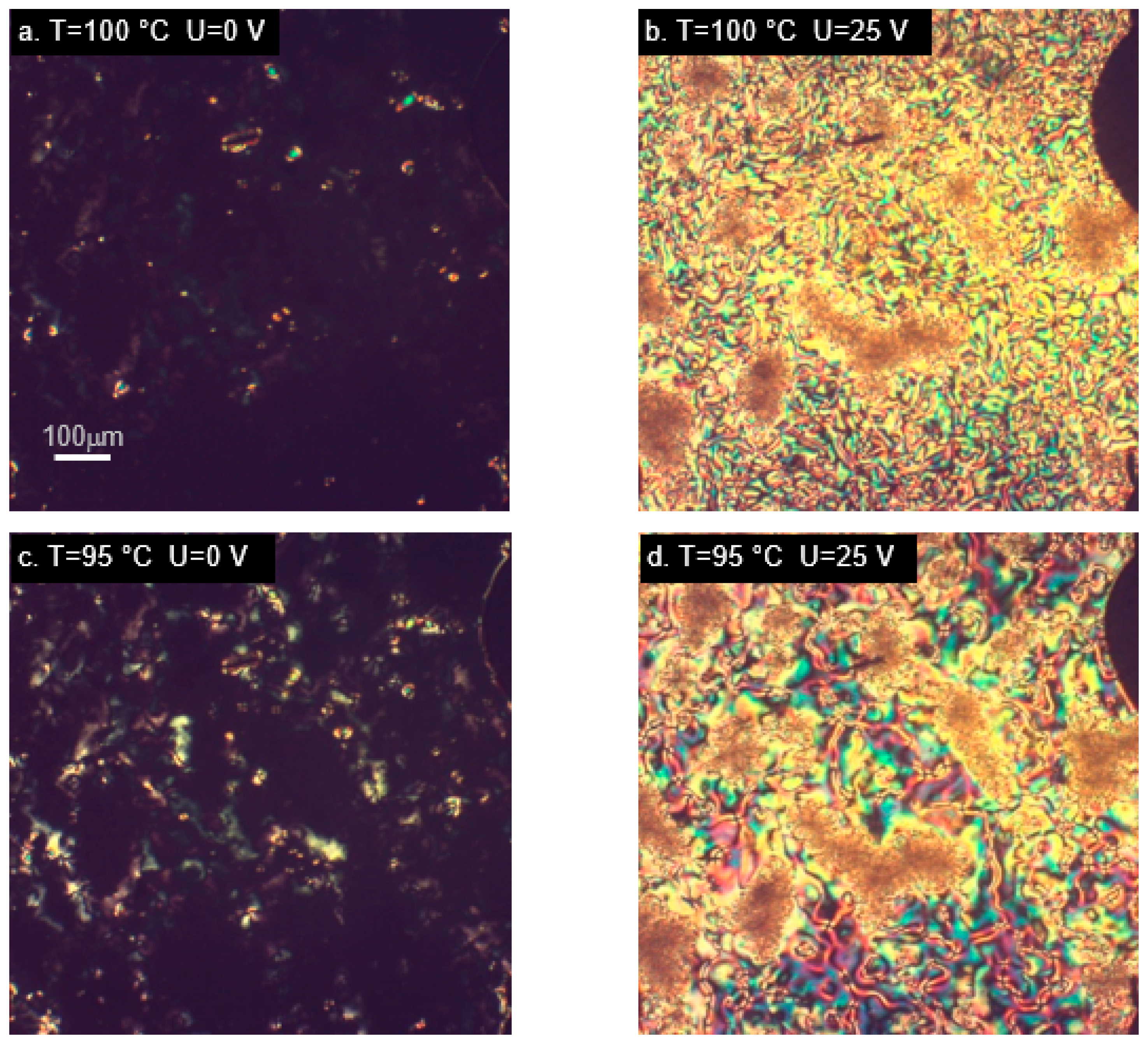 Ijms 22 03424 g006 Ijms 22 03424 g006