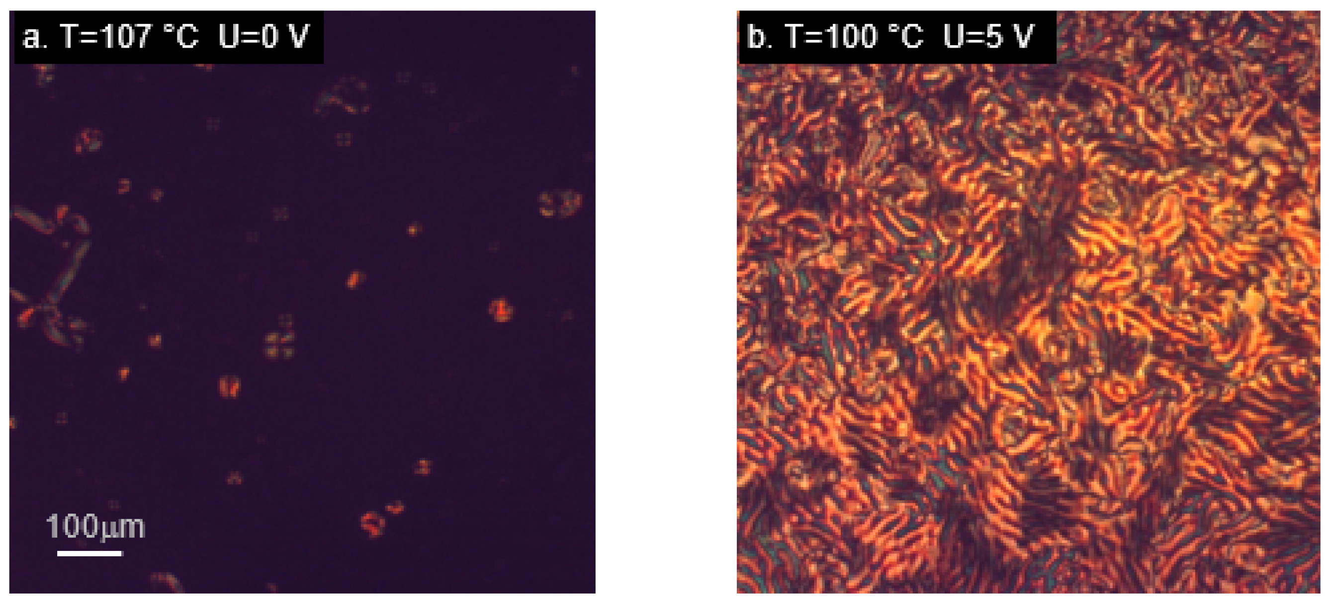 Ijms 22 03424 g007a Ijms 22 03424 g007a